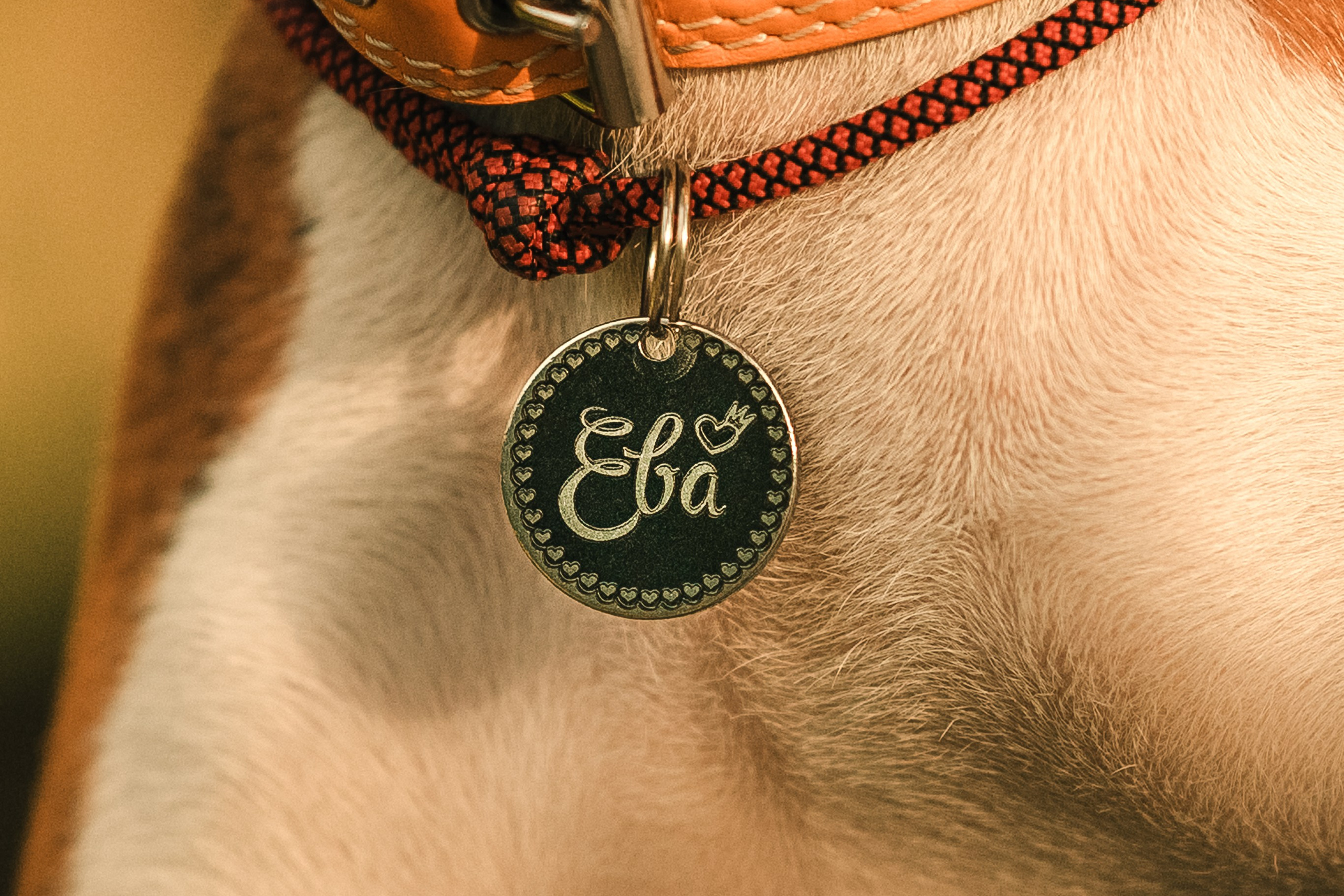 Светлана и Ева