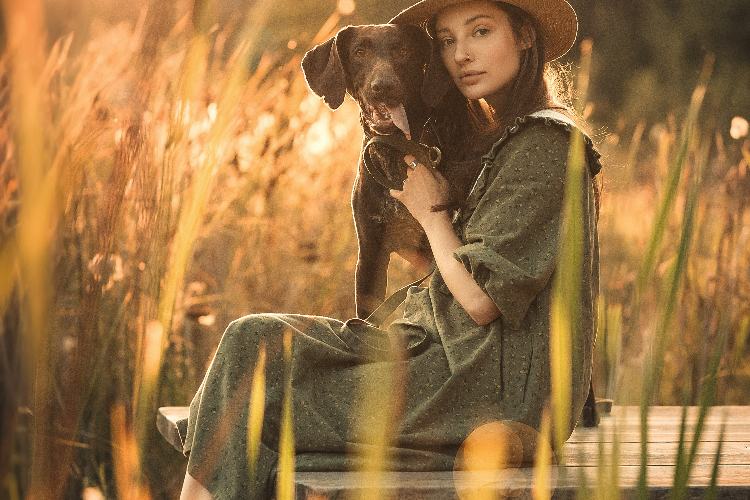 Фотосессия курцхаар