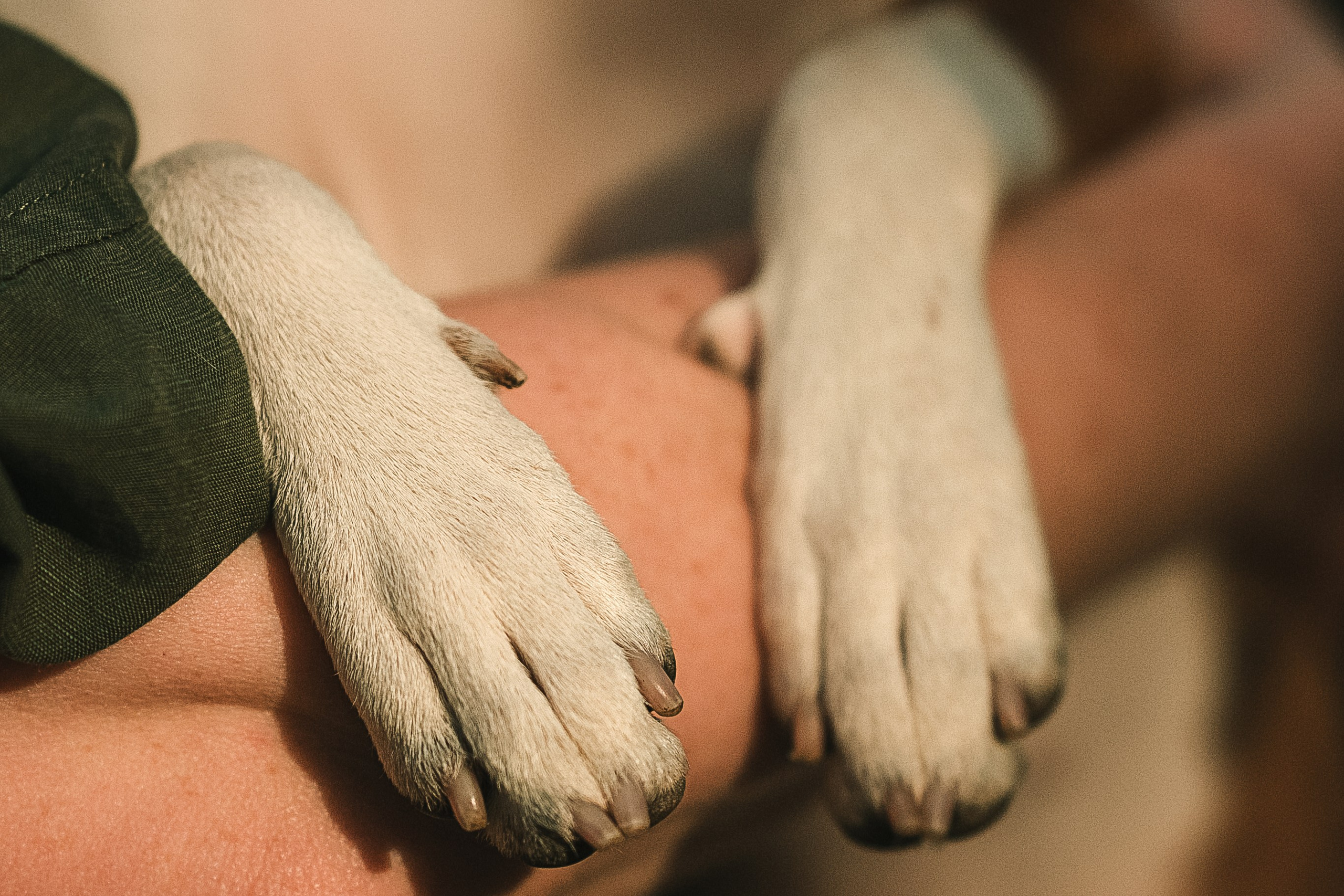 Светлана и Ева