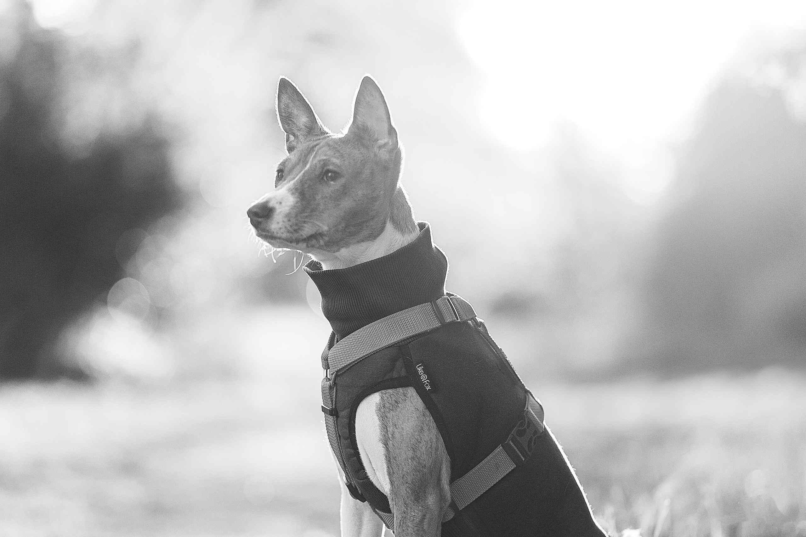 Светлана и Ева