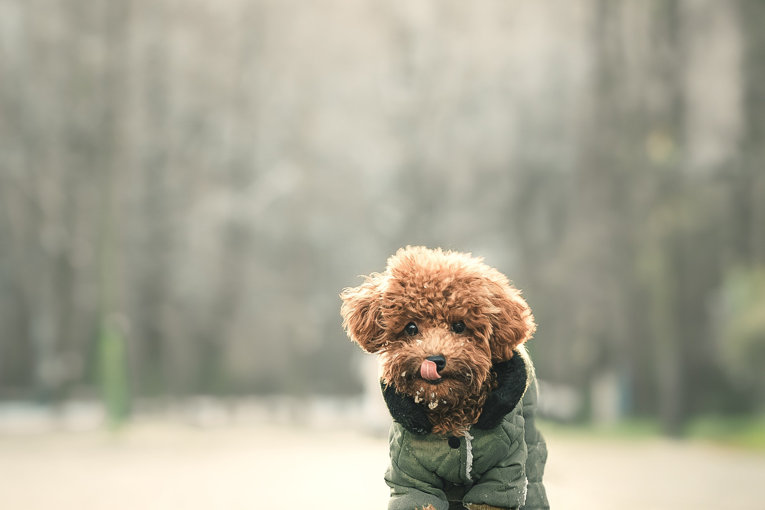 Наталья и Руби