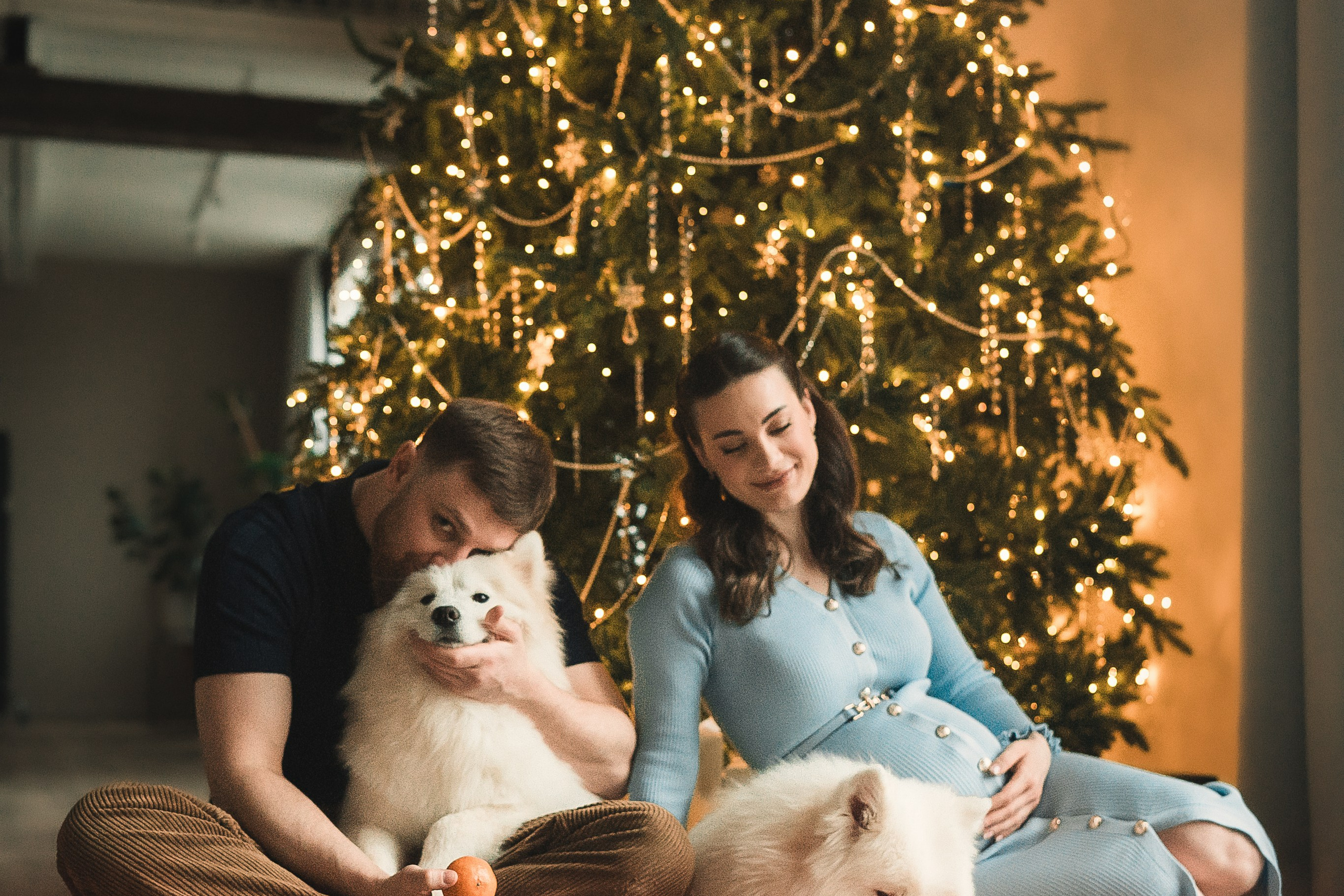 Лиза, Давид и два хвостатых облачка