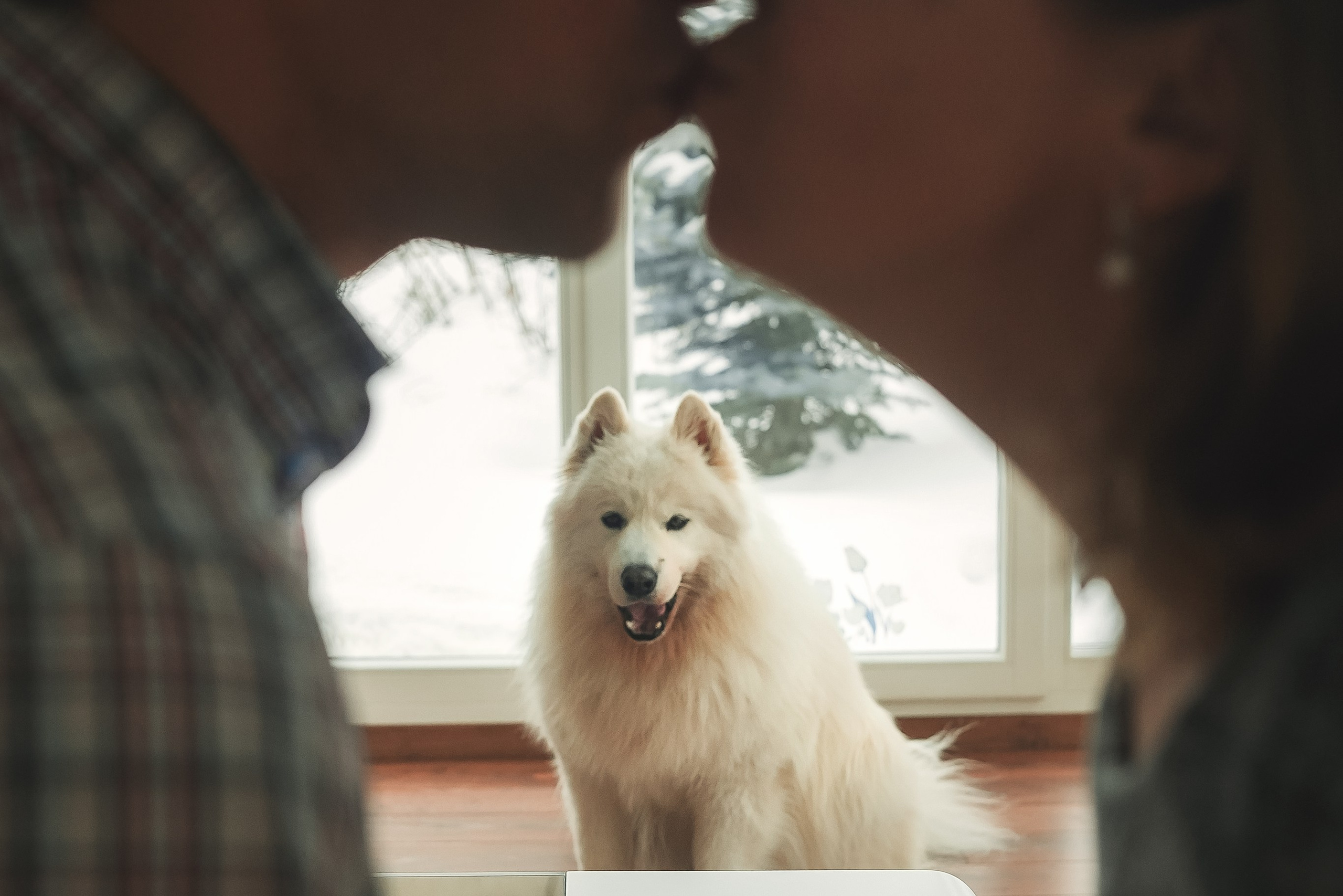 Юрий, Марианна и Санни