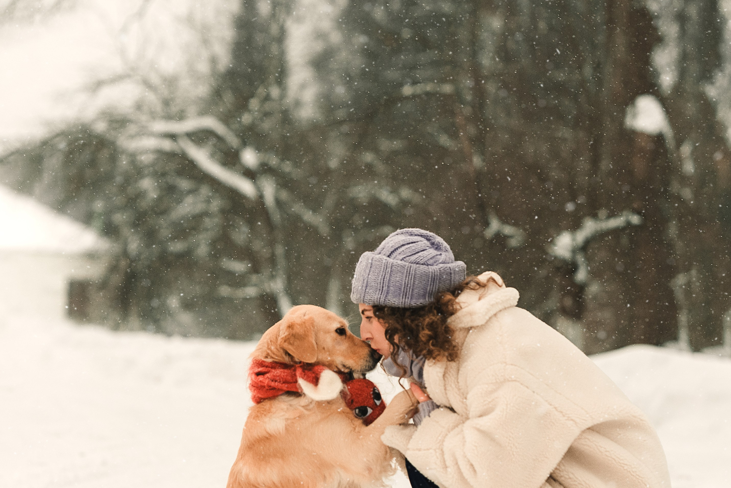 Анна и Сонечка