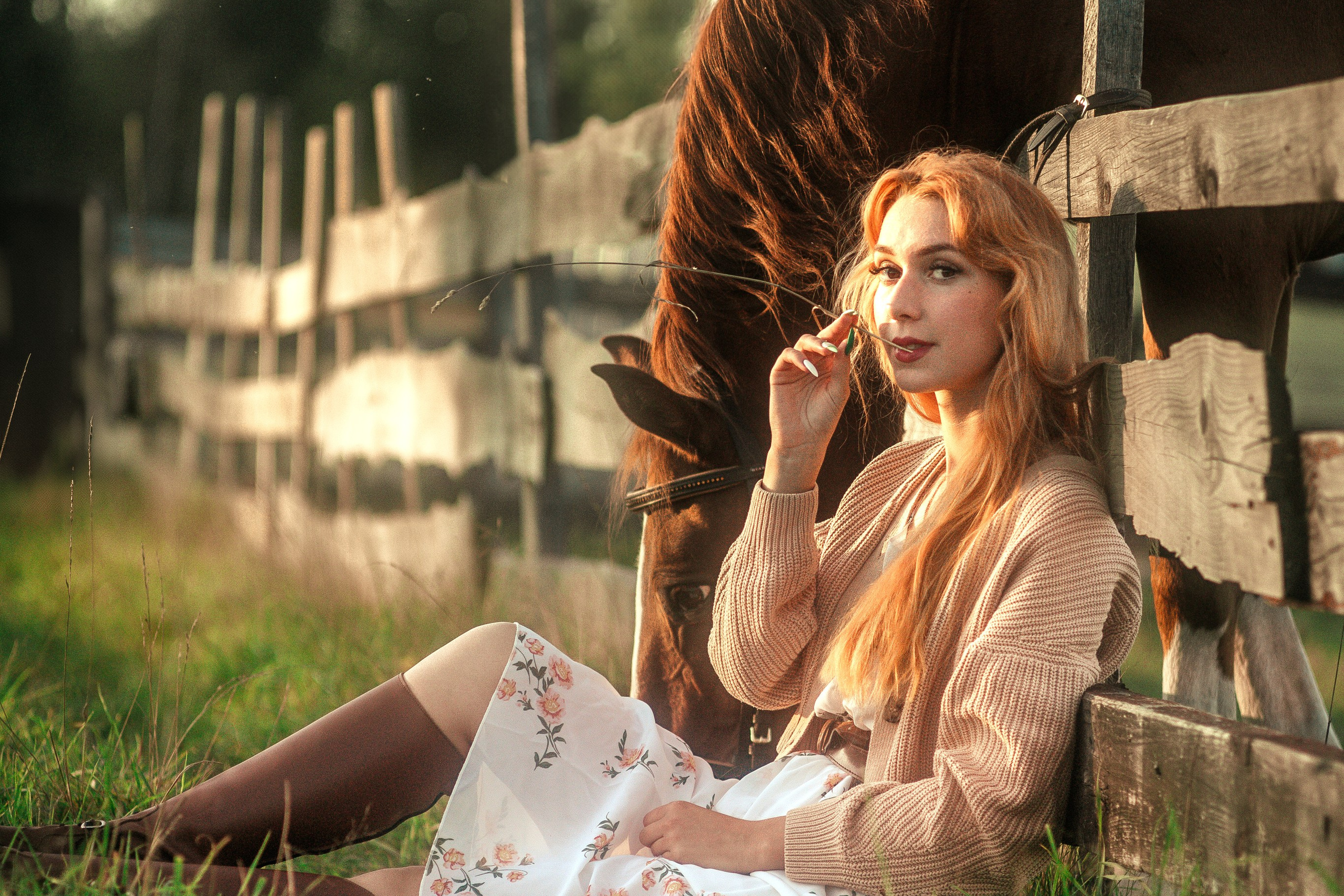 Фотограф-анималист Москва. Бутько Анжелика.