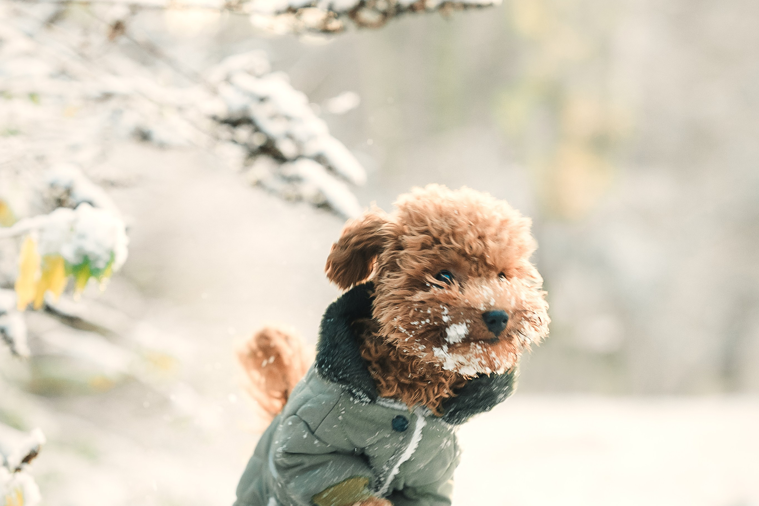 Наталья и Руби