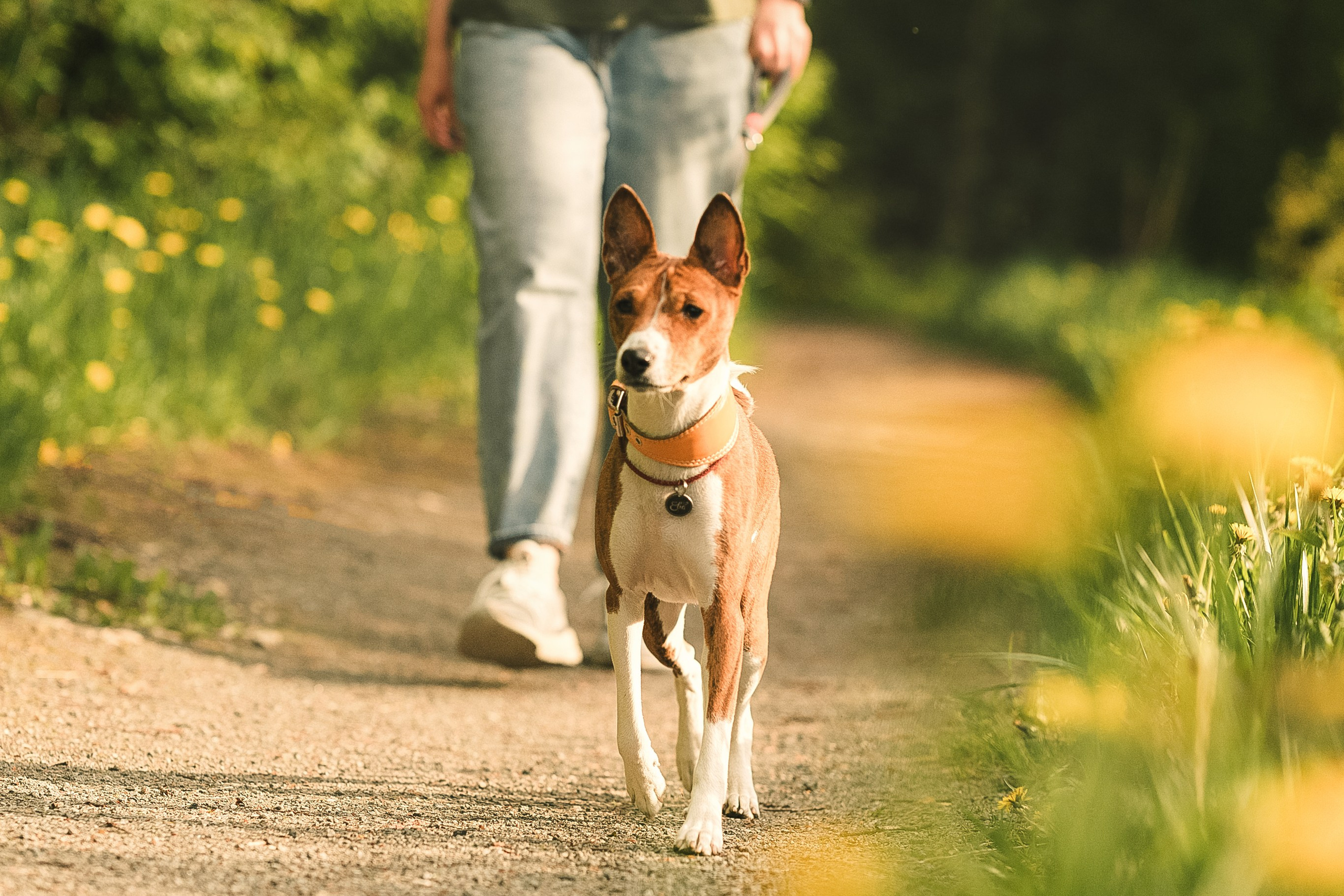 Светлана и Ева