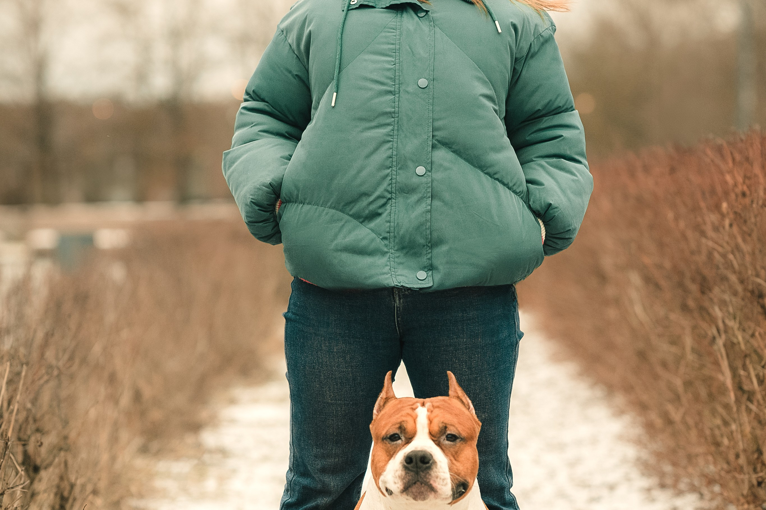 Анна и Феникс