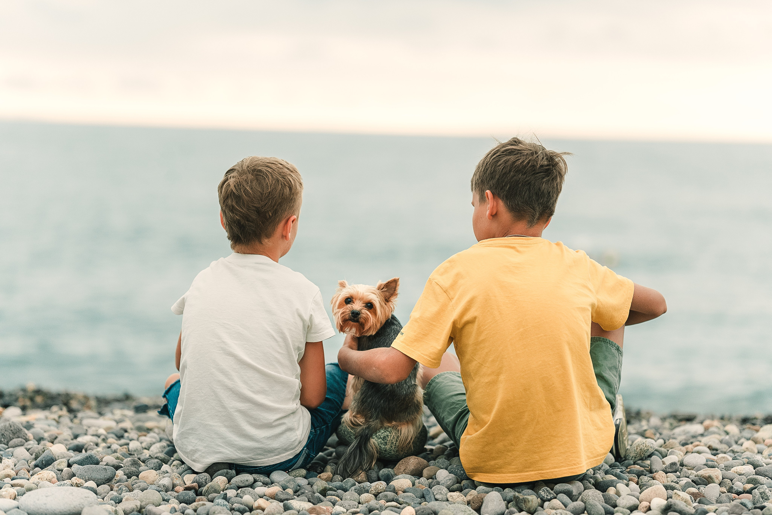 фотограф собак в Москве и МО