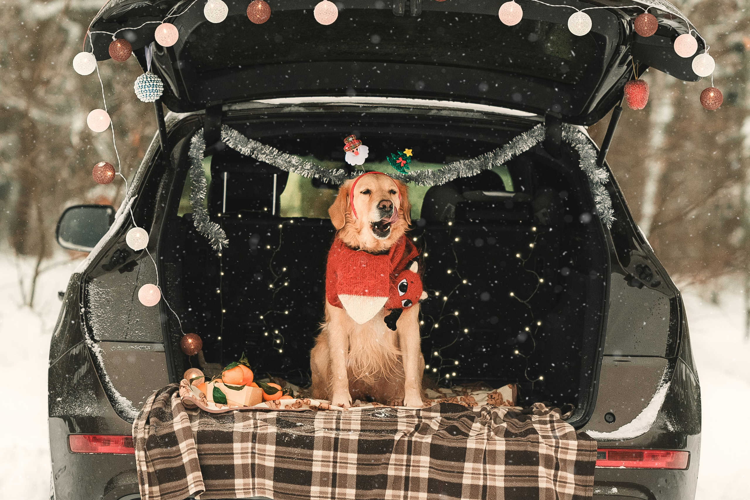 Анна и Сонечка