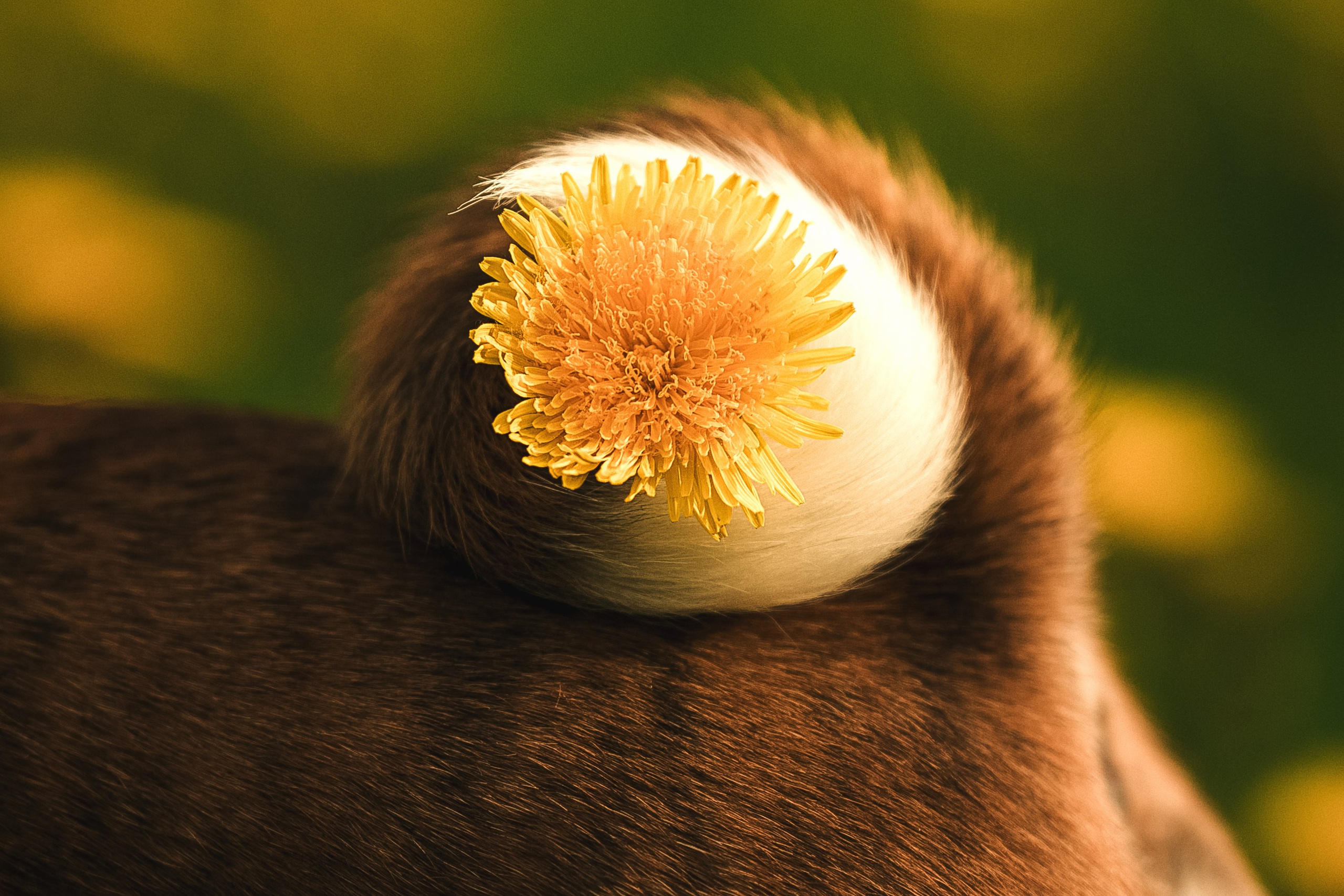 Светлана и Ева