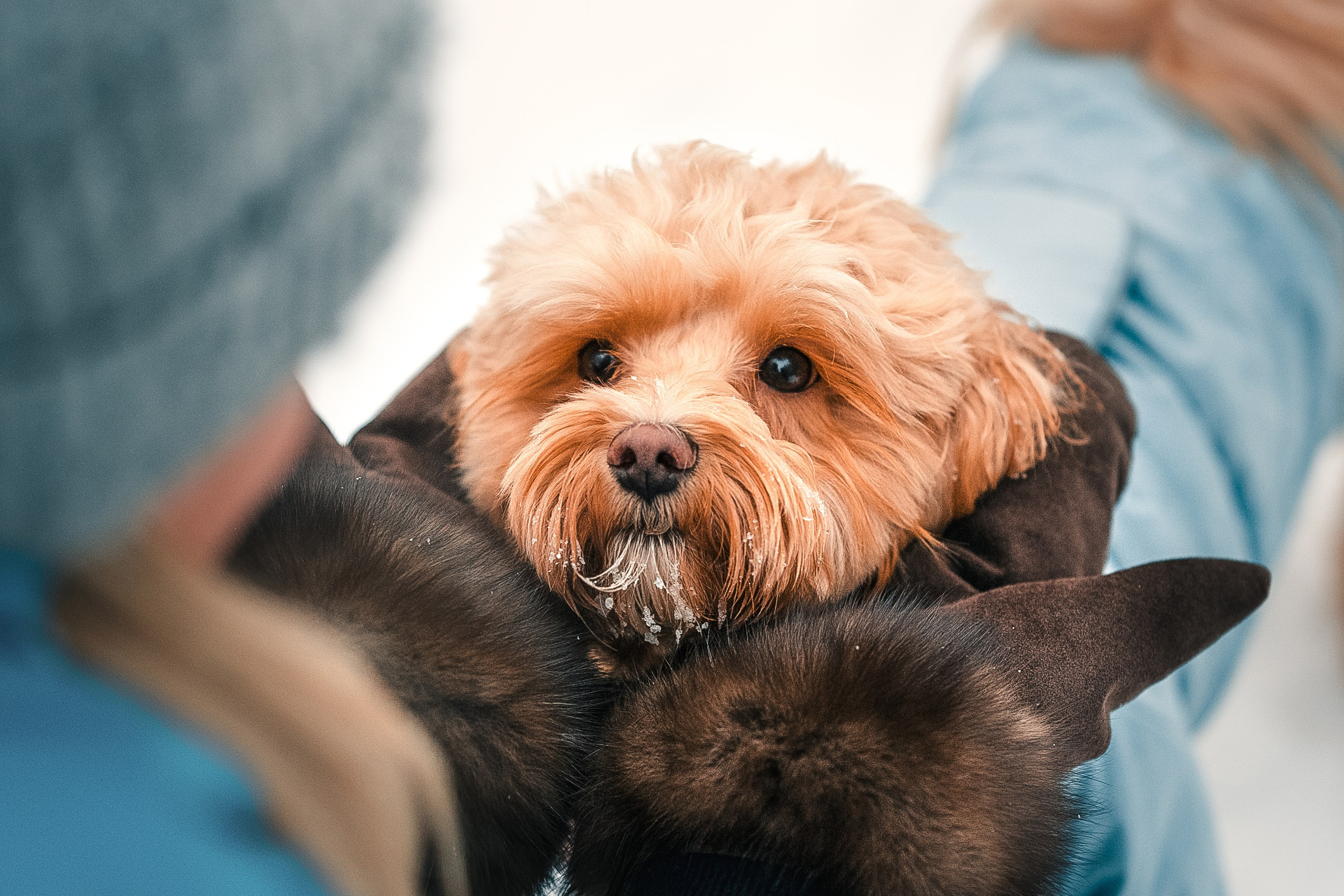 Марина и Чарли