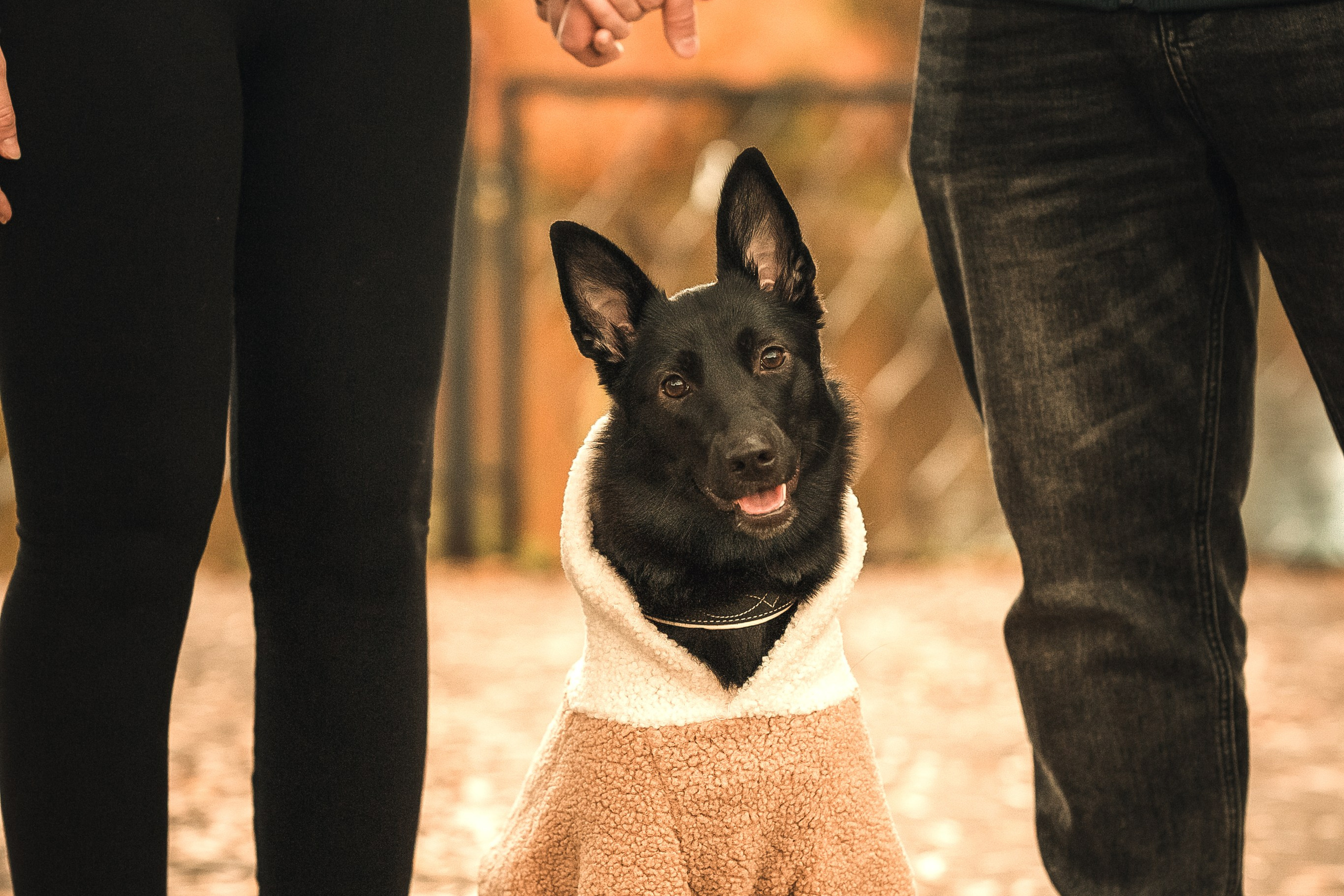 Полина, Антон и Наоми