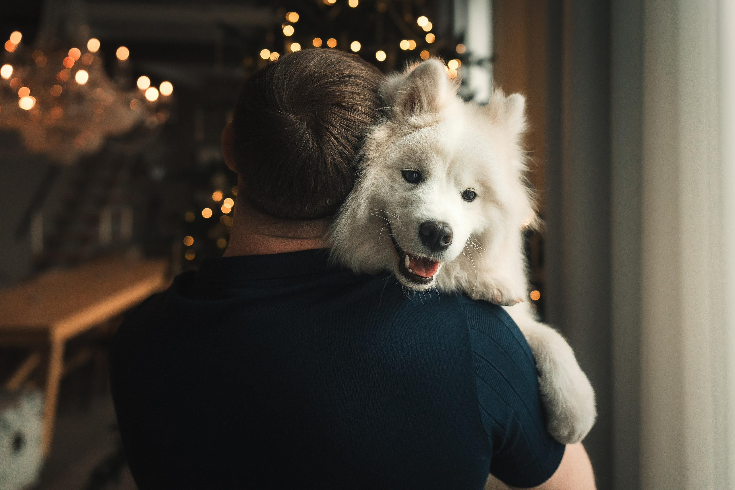 Лиза, Давид и два хвостатых облачка