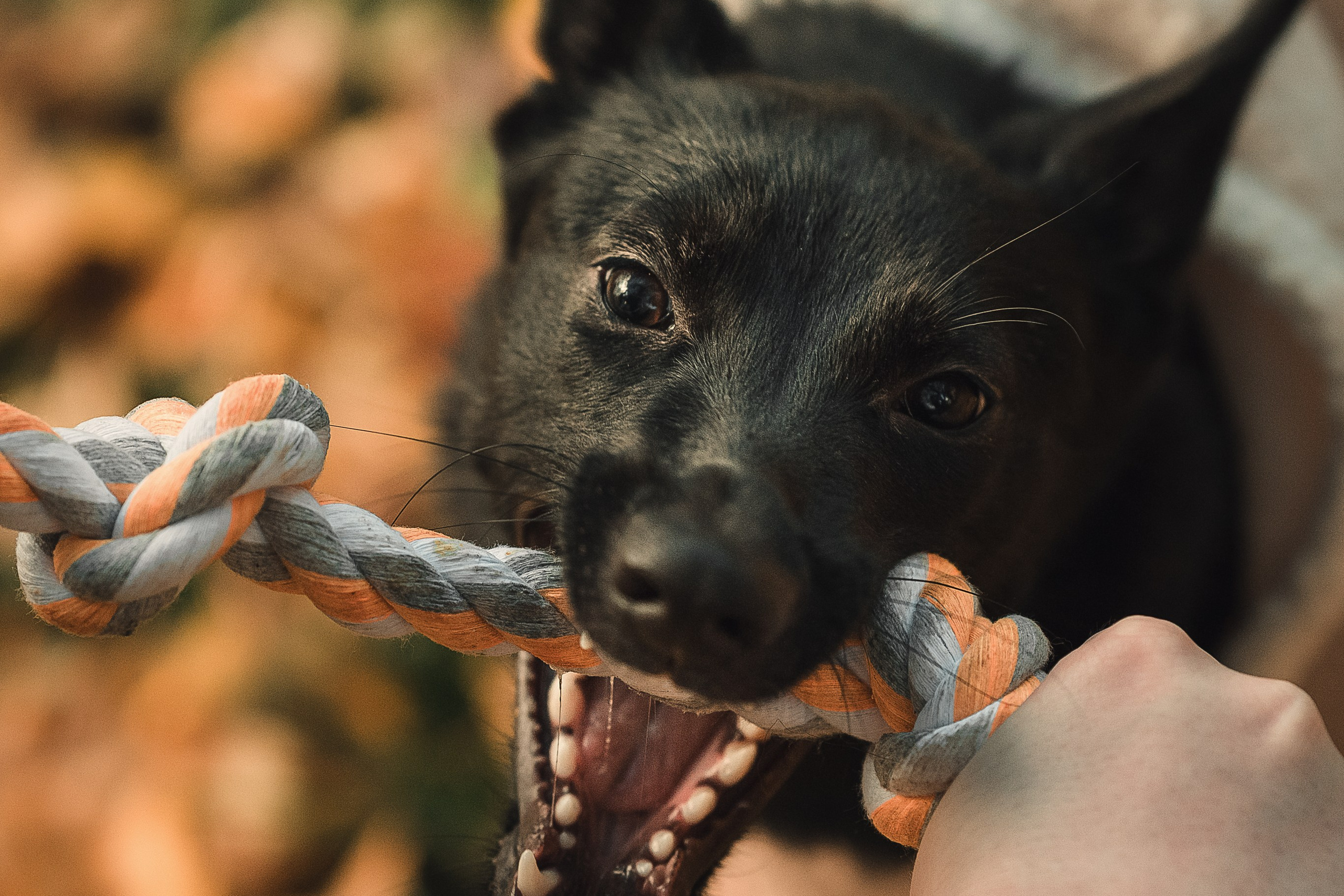Полина, Антон и Наоми