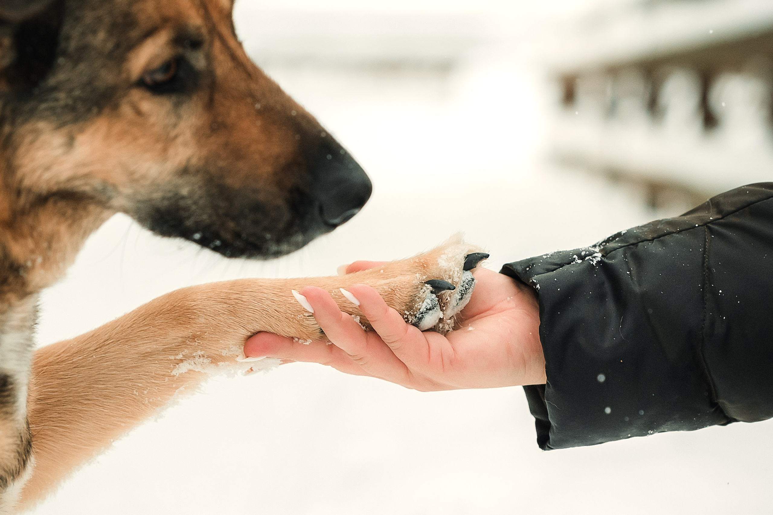 Анна и Руна