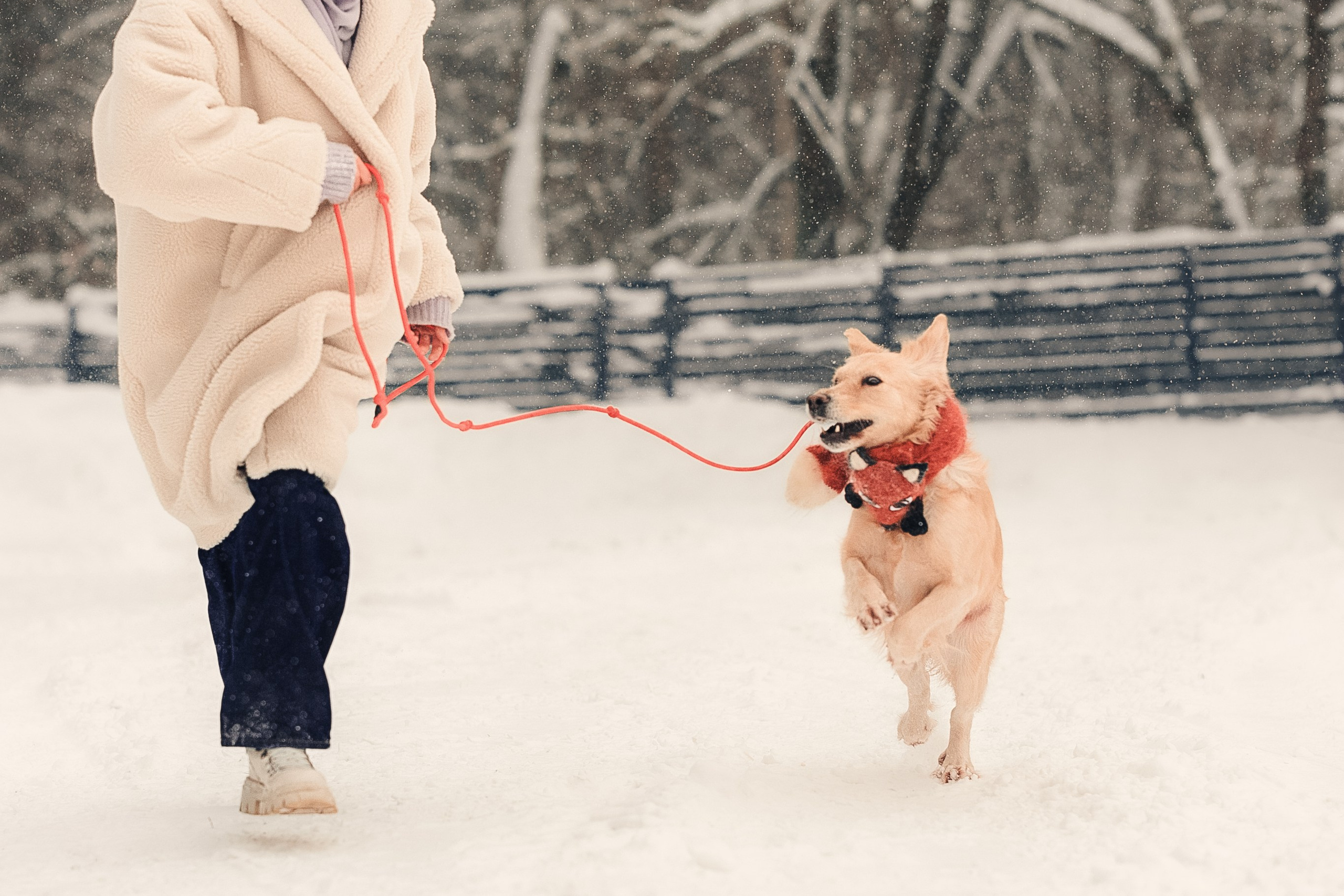 Анна и Сонечка