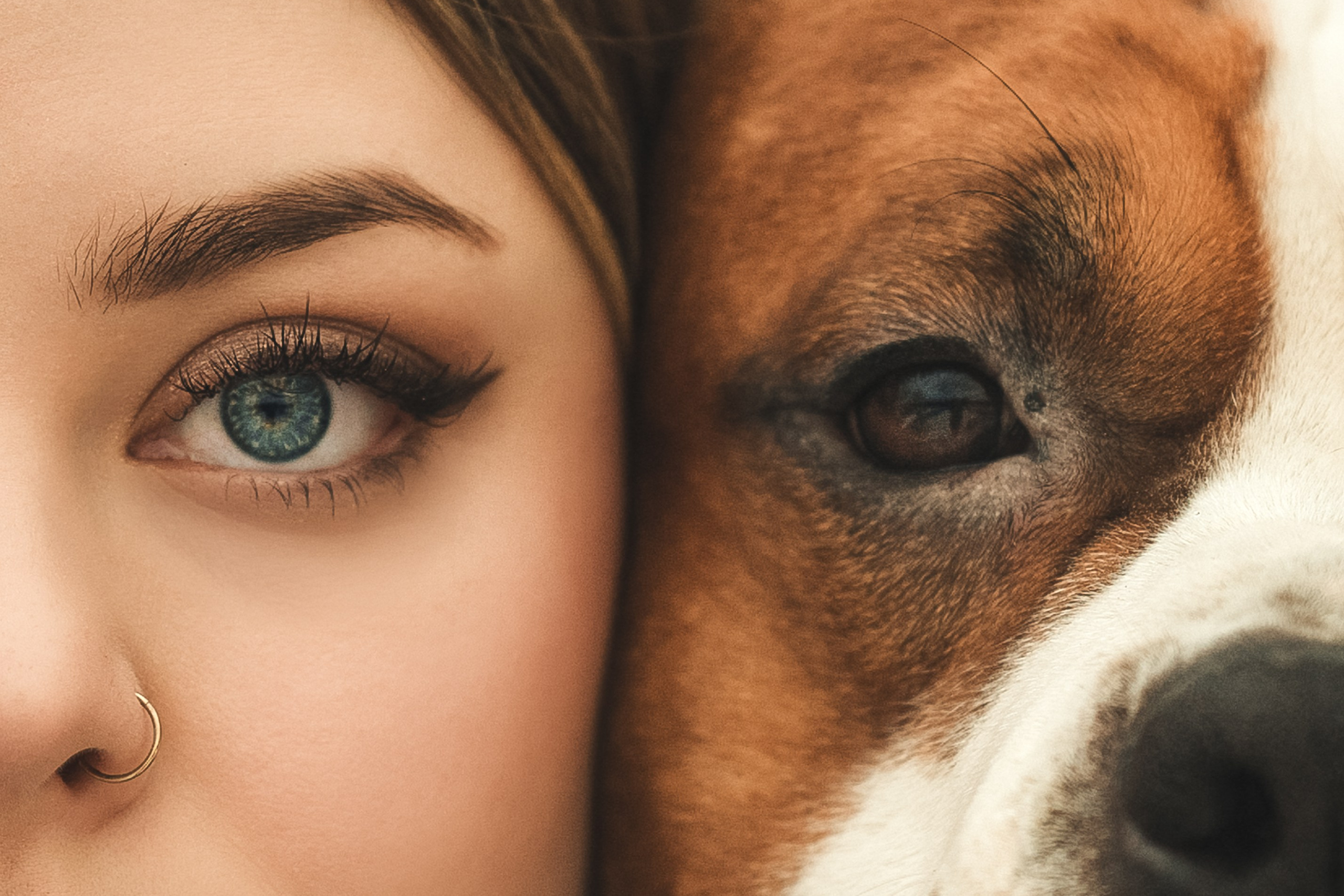 Фотосессия с собакой