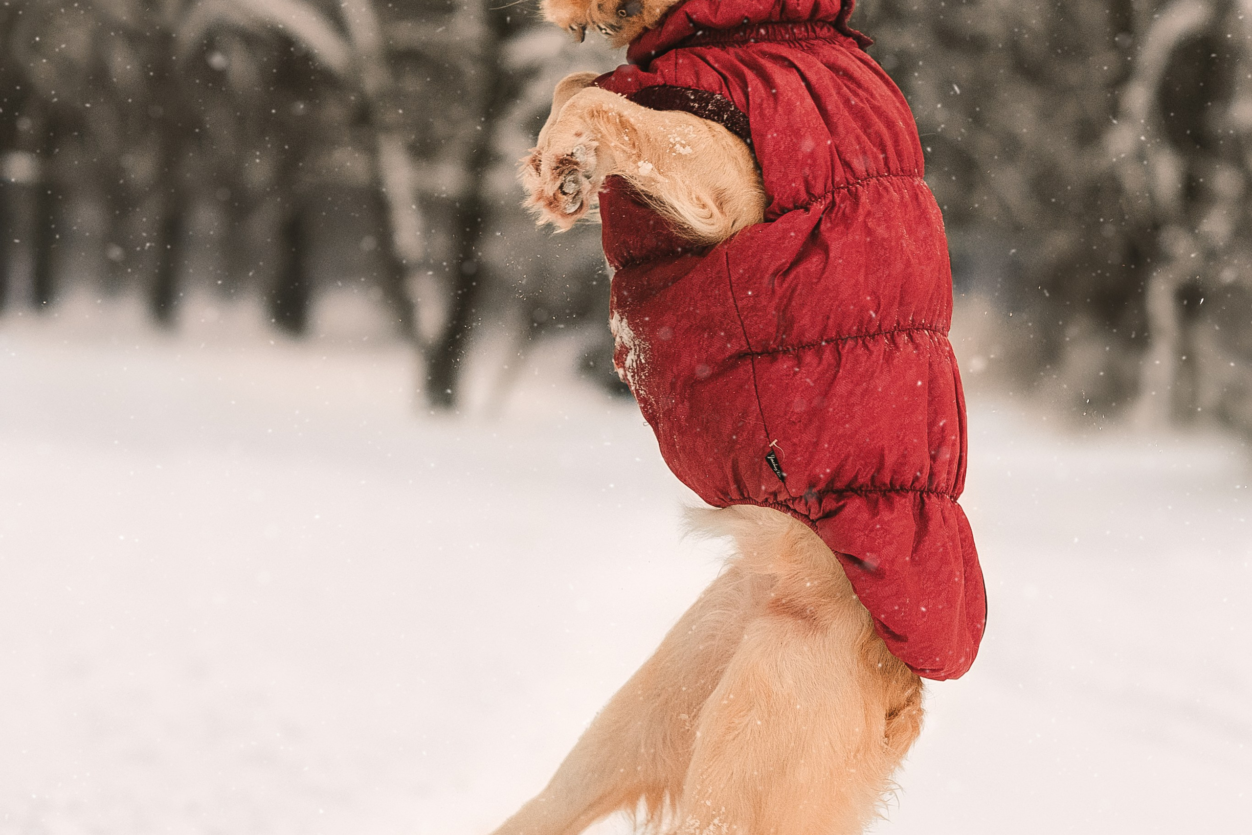 Анна и Сонечка