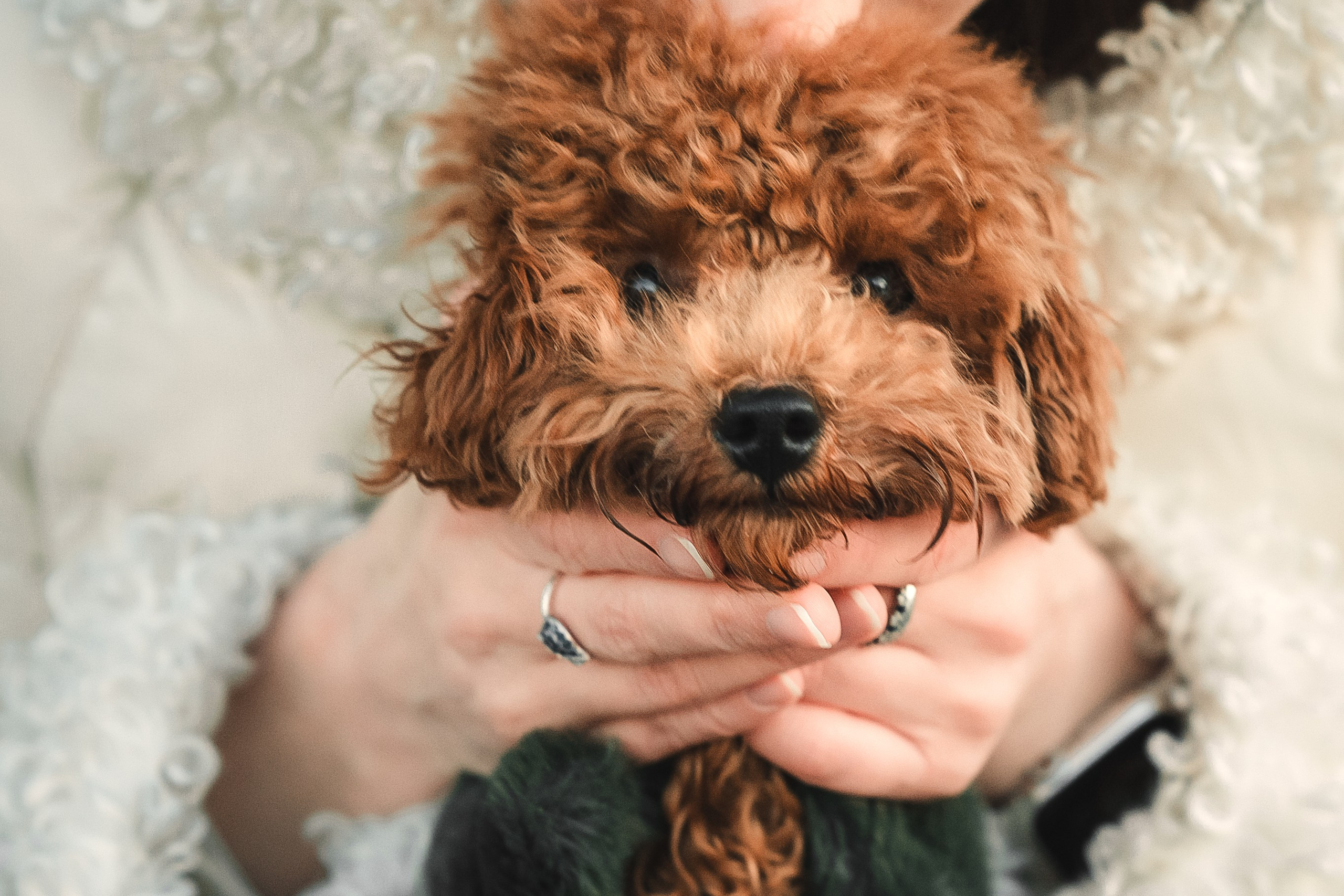 Наталья и Руби