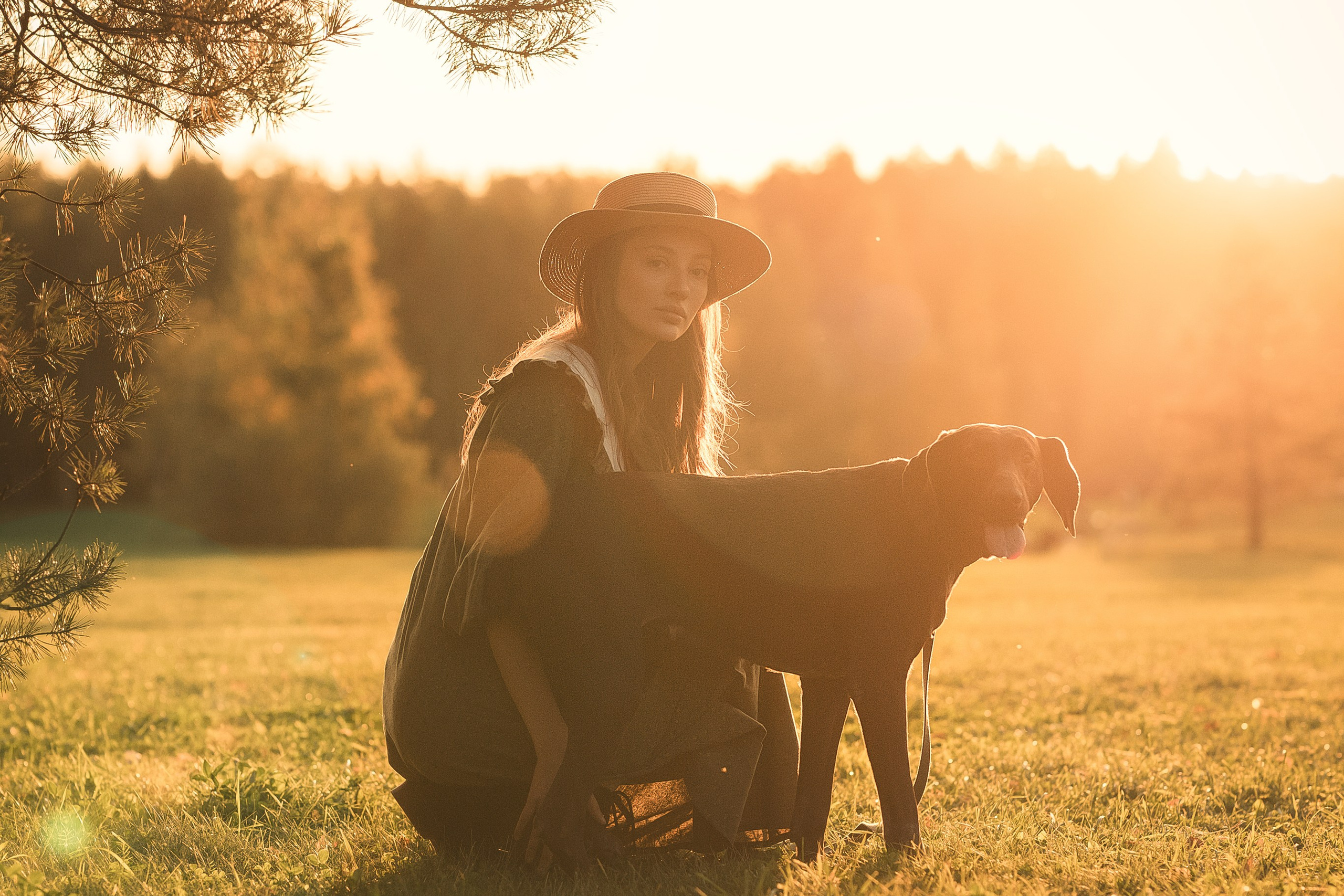 Красивые фото в мещерском парке
