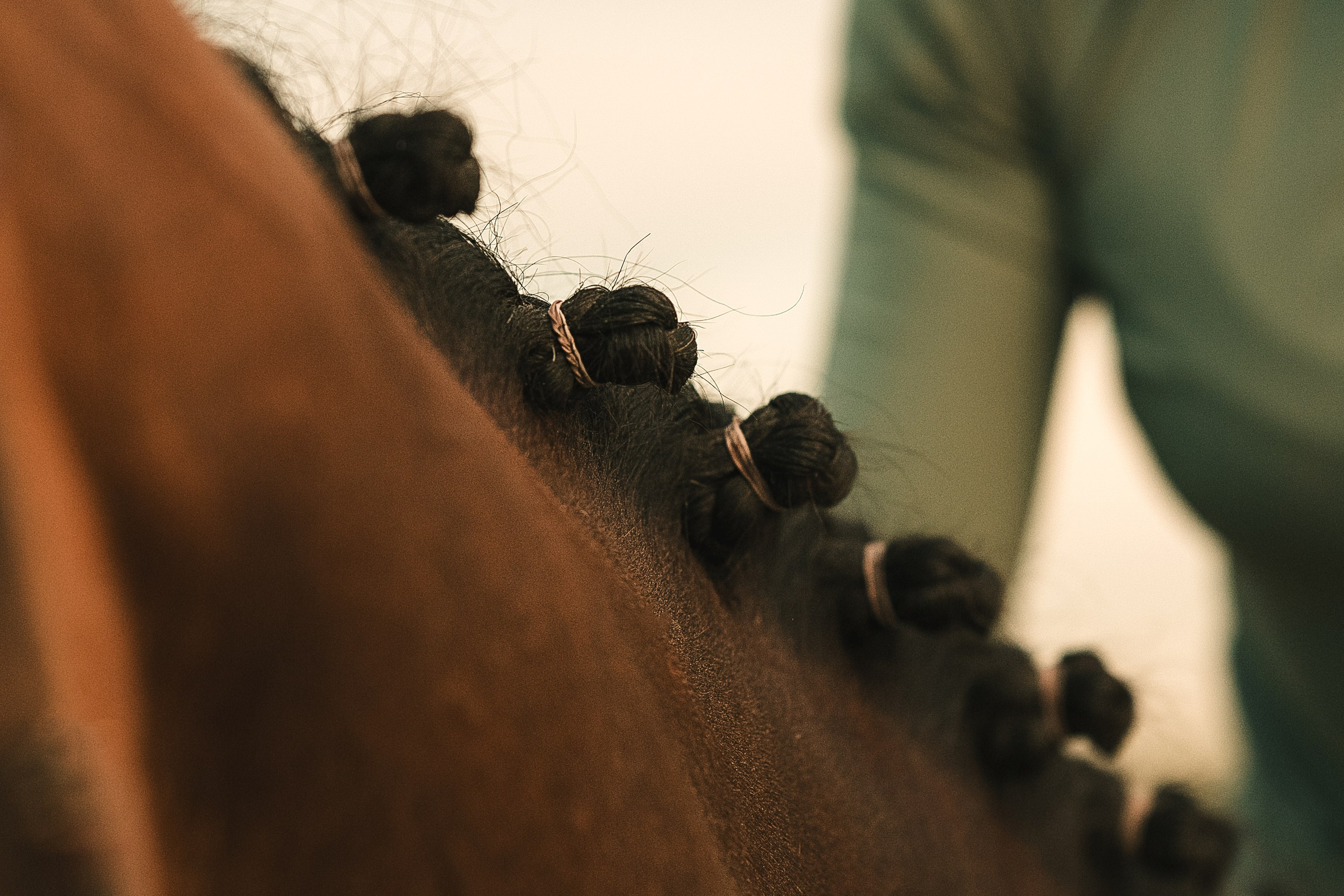 Съёмки с лошадьми