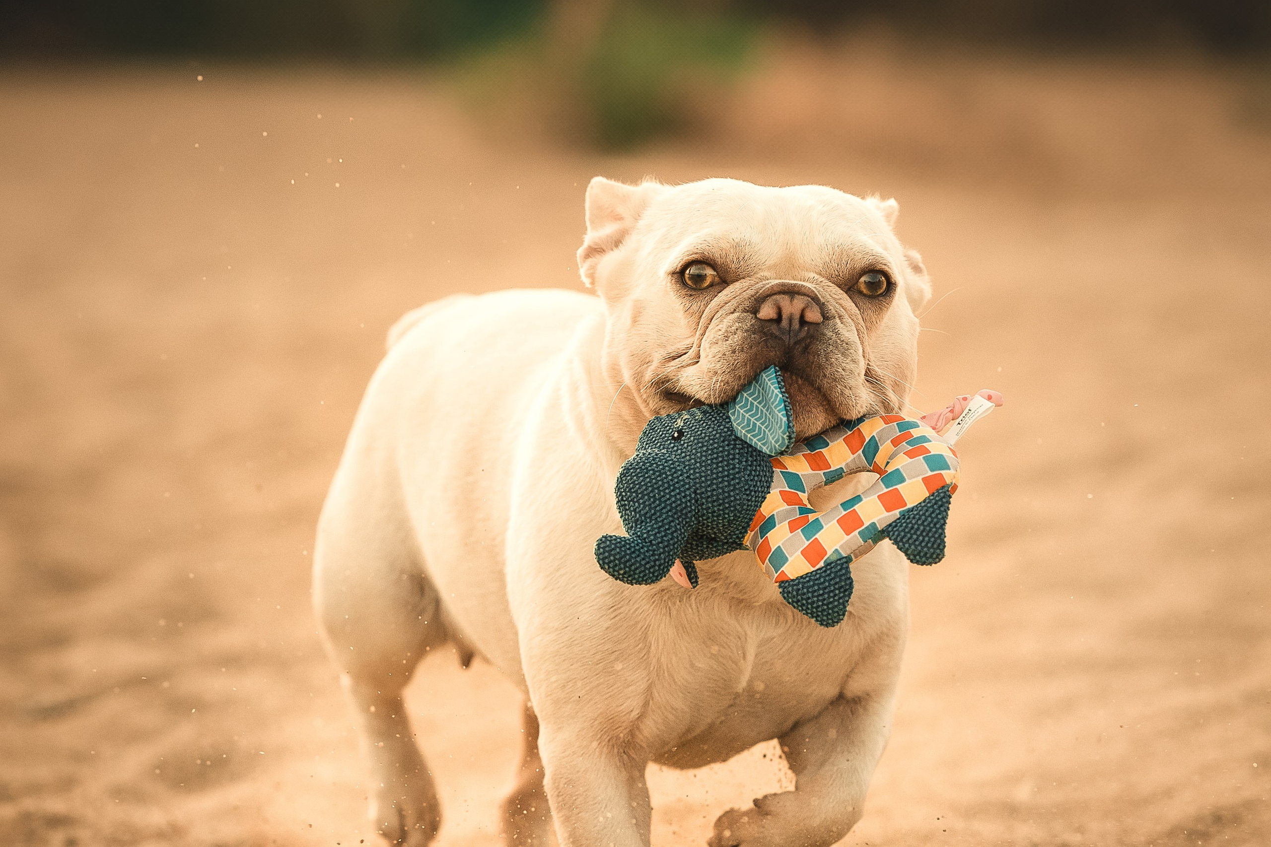 Светлана и Маруся