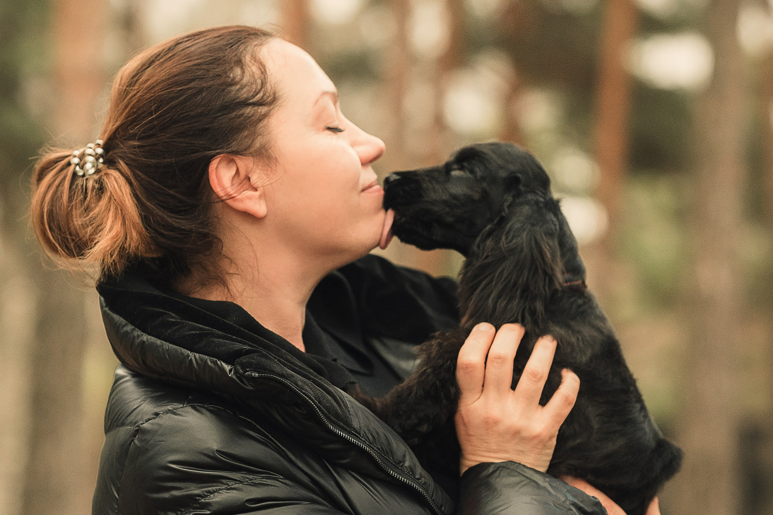 Спаниелька Мери