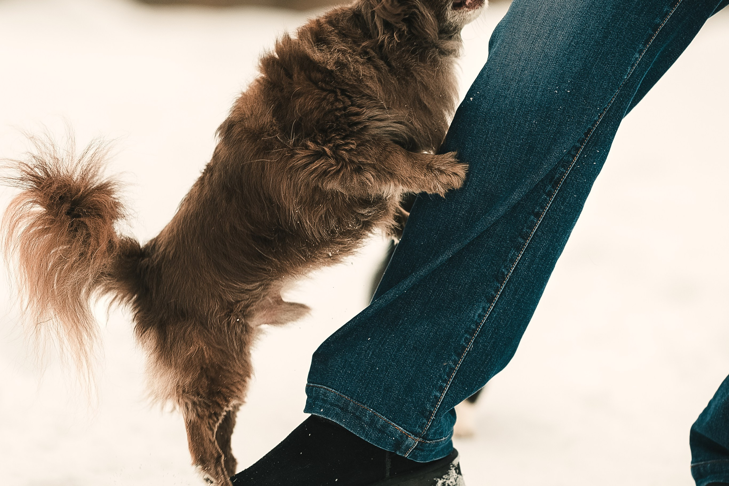 Елена, Тоша, Лиза и Поль