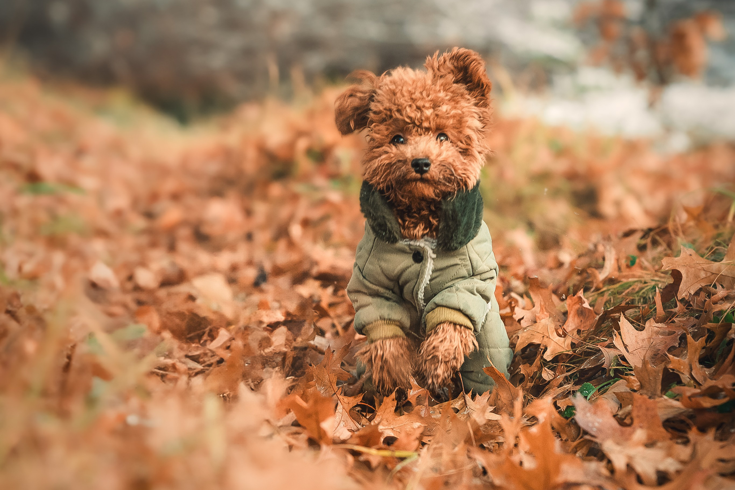 Наталья и Руби