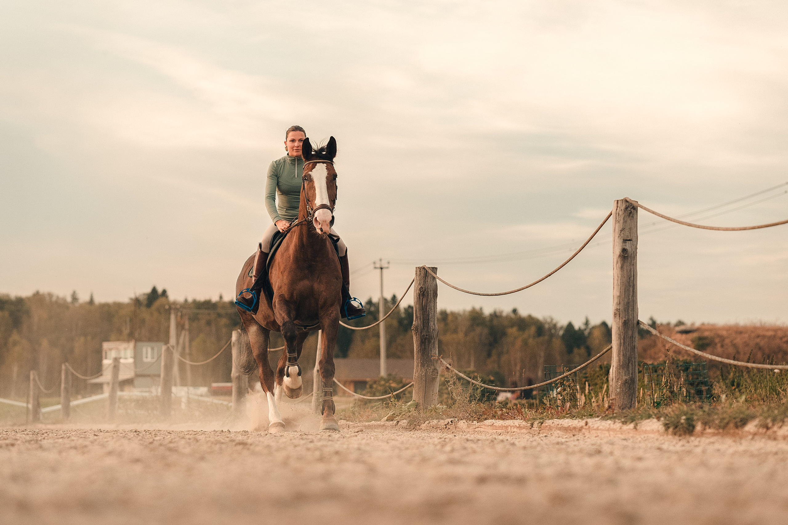 Съёмки с лошадьми