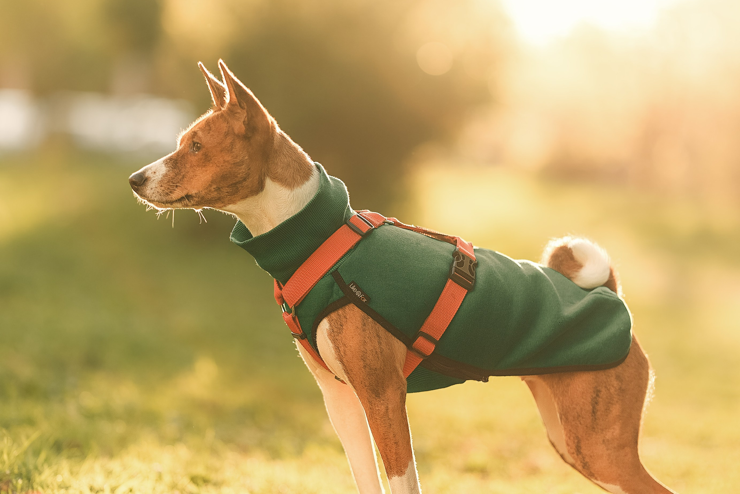 Светлана и Ева