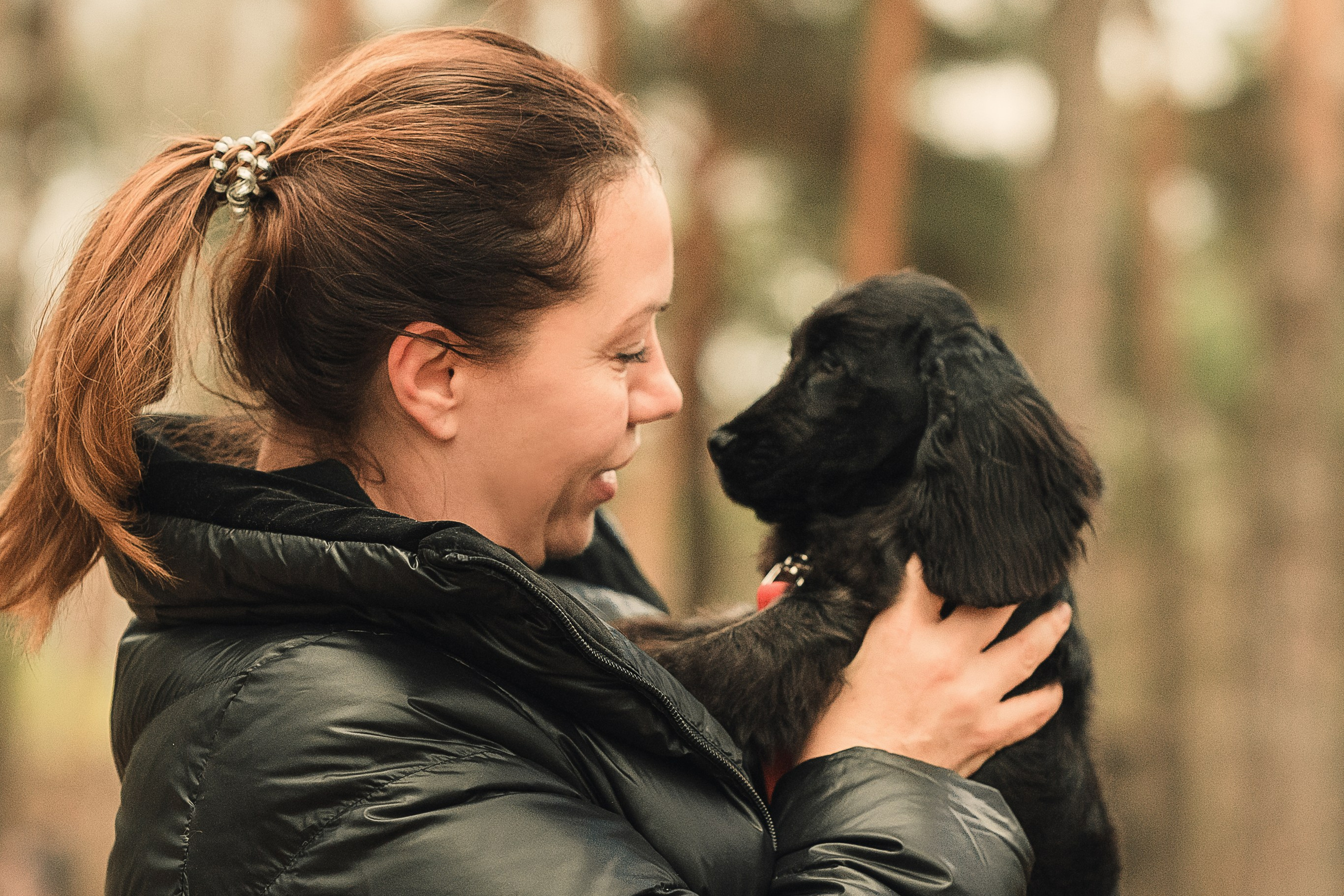 Спаниелька Мери