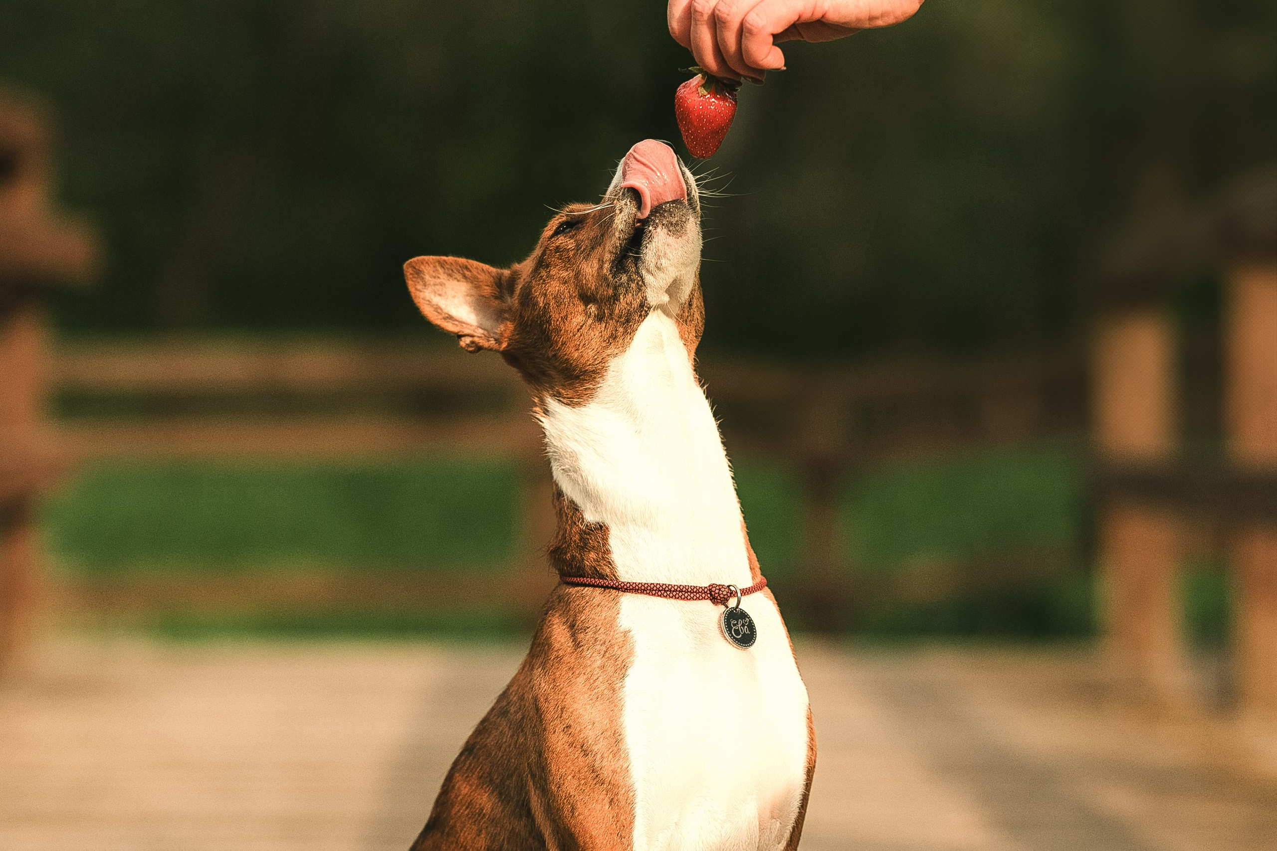 Светлана и Ева