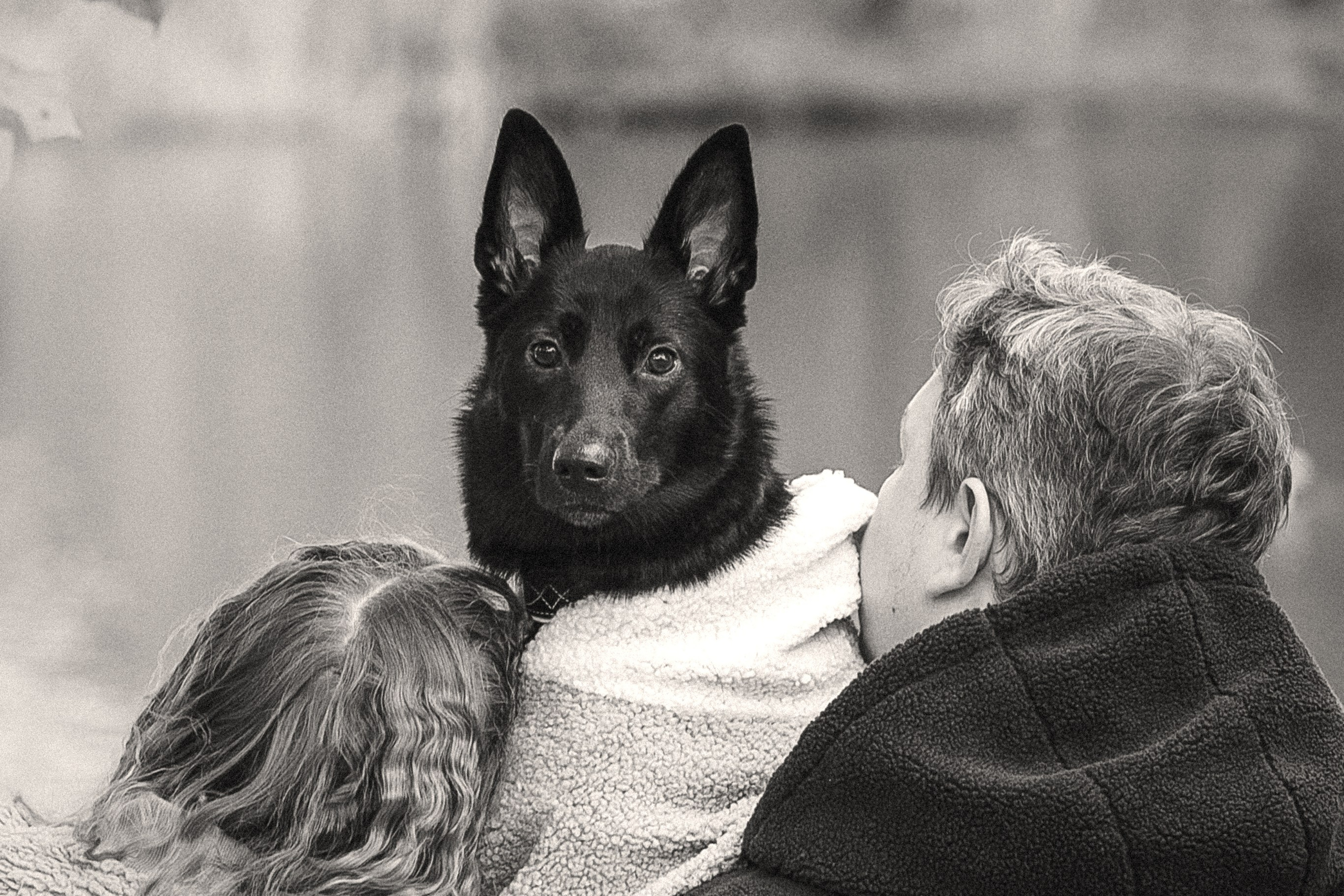 Полина, Антон и Наоми