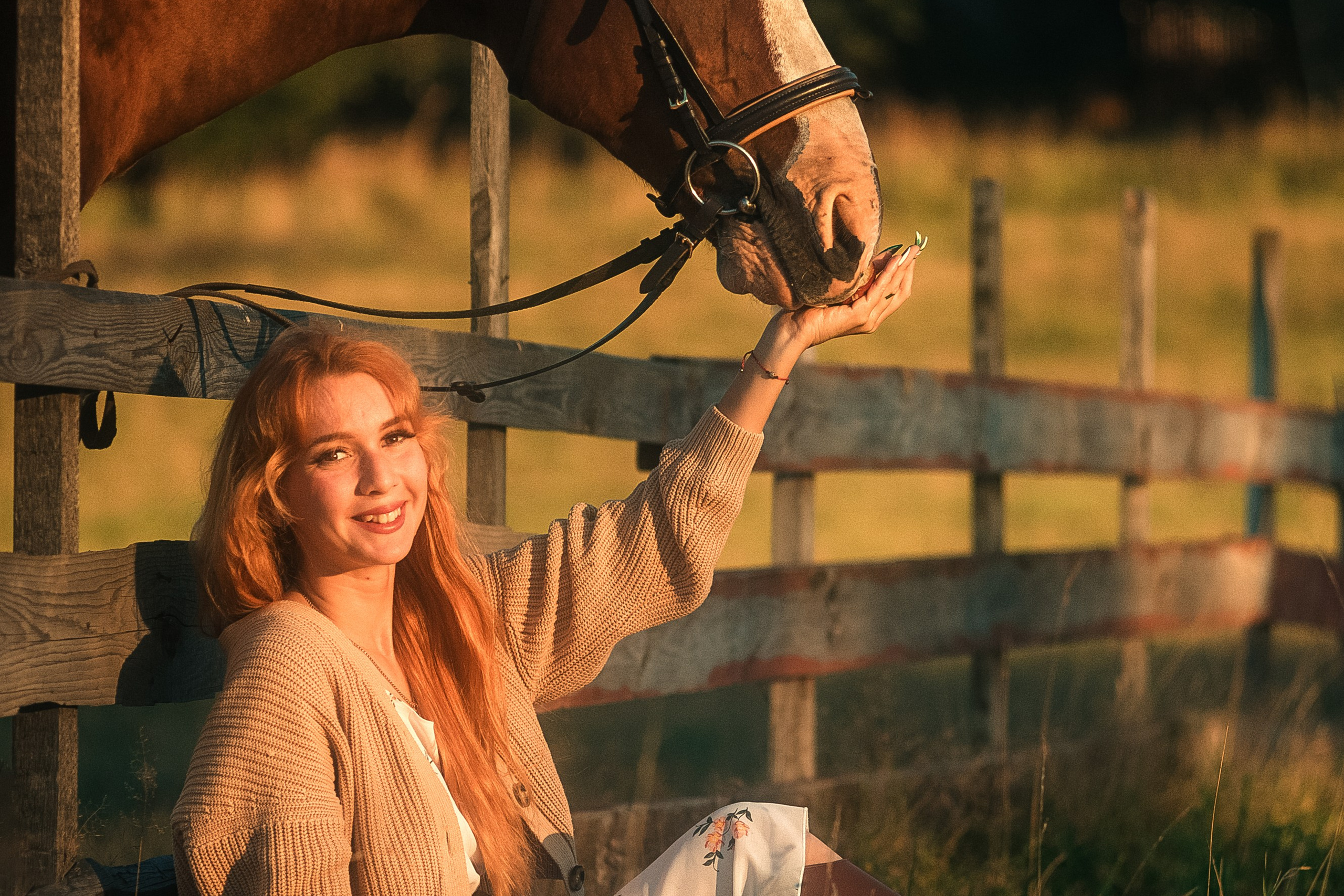 Фотограф лошадей Москва