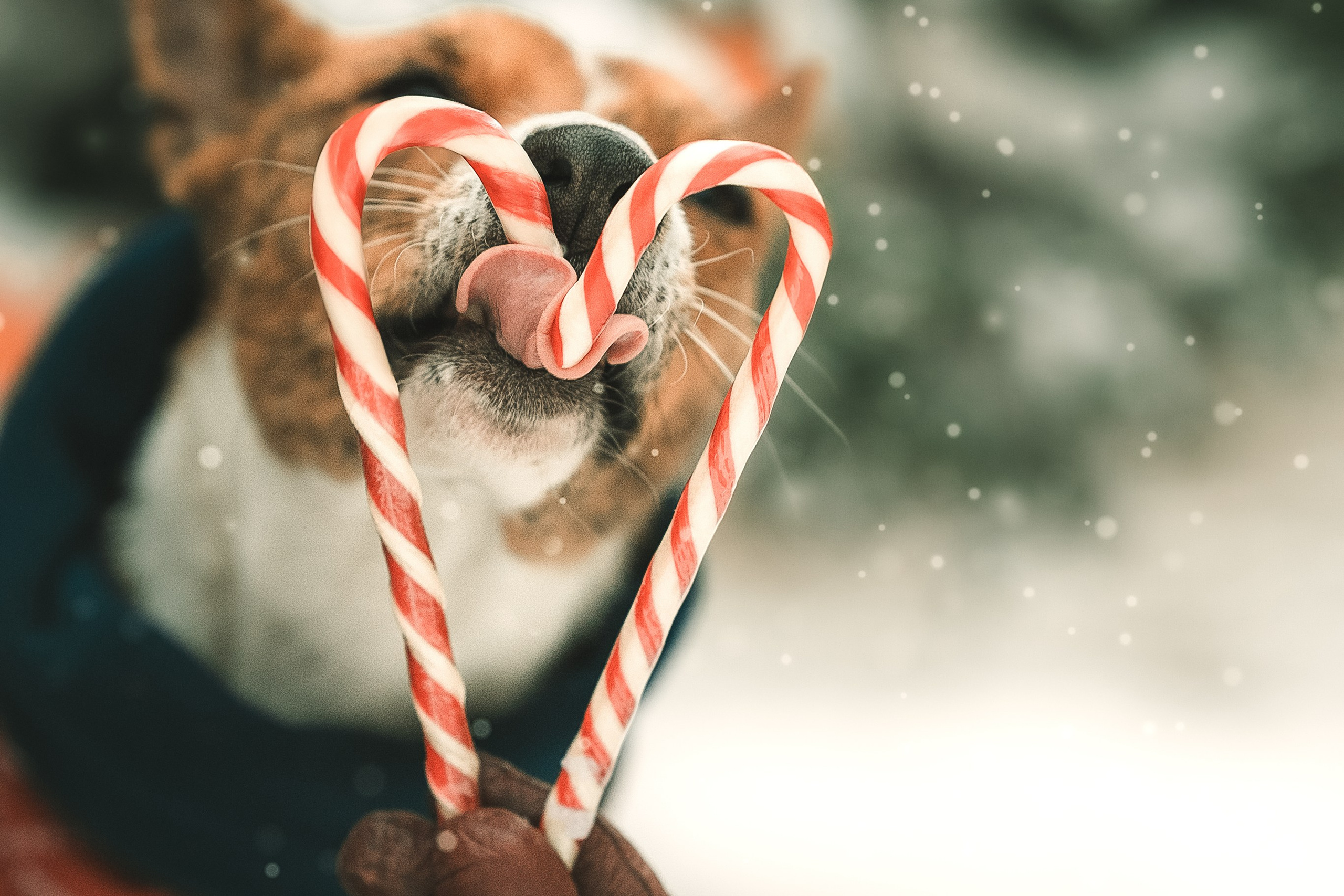 Прогулка по Арбату. Светлана и Ева