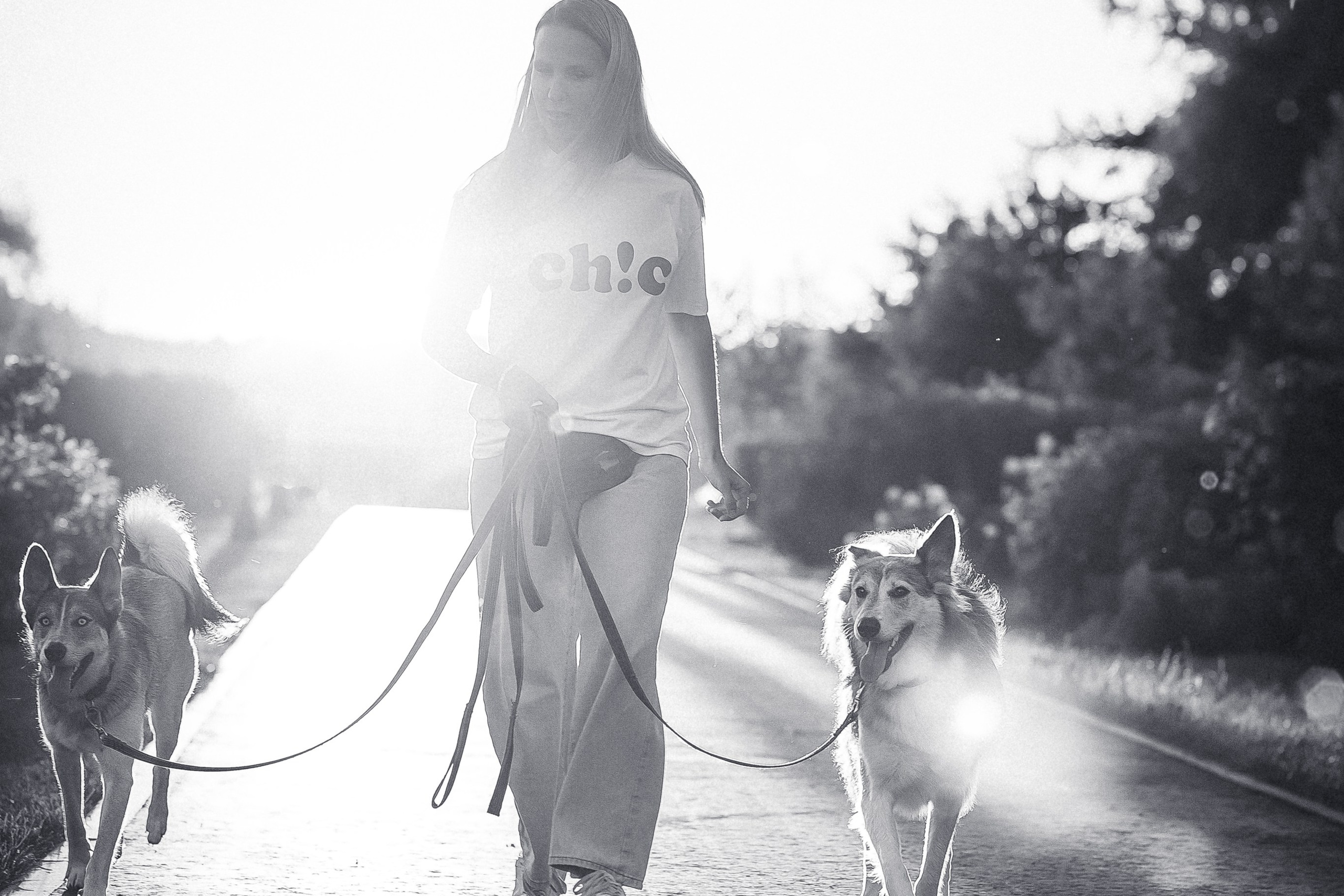 Вера, Лорочка и Вольт