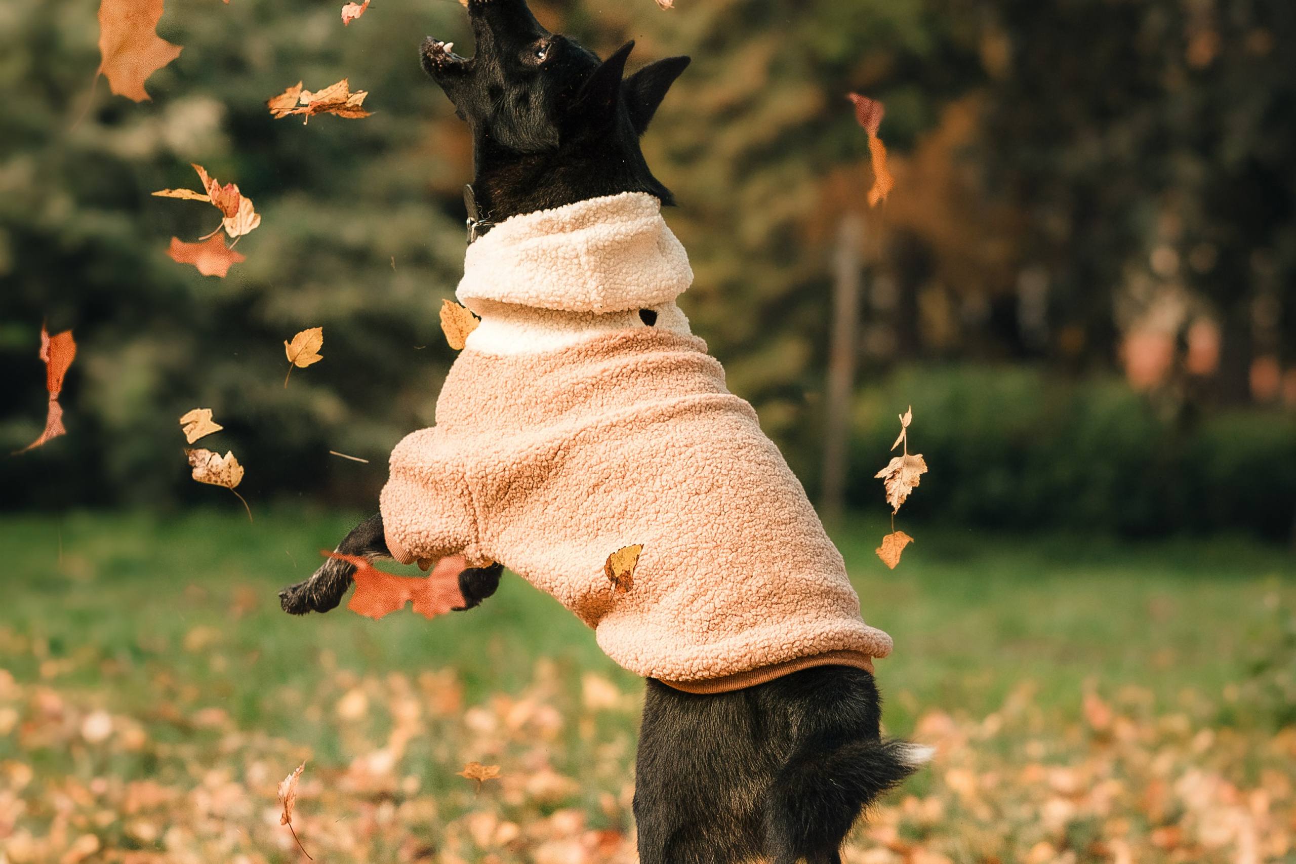 Полина, Антон и Наоми