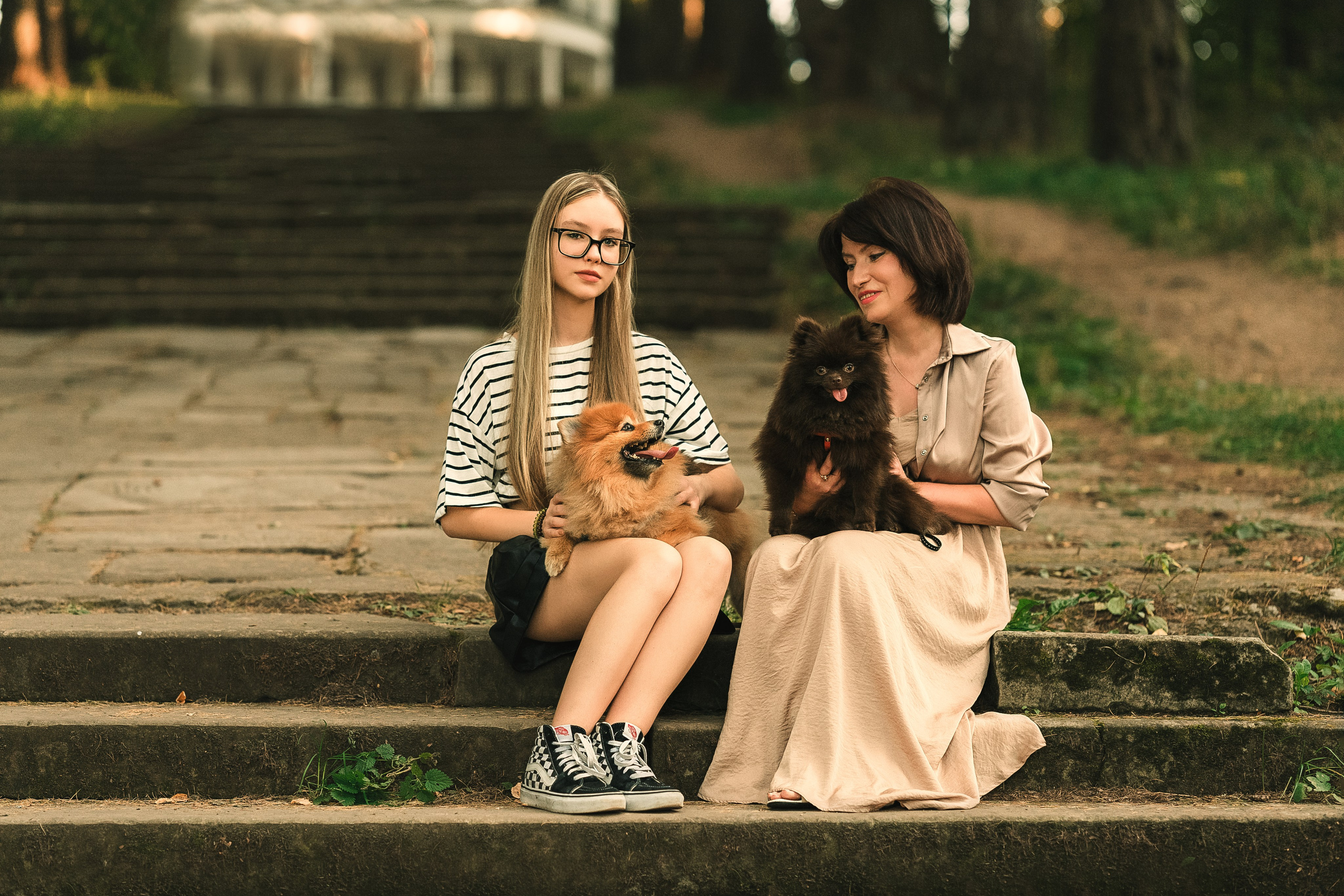 Фотосессия шпицов