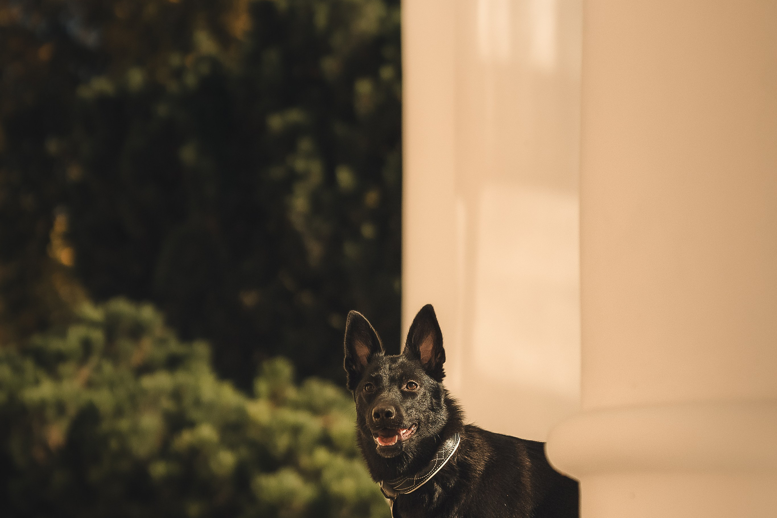 Полина, Антон и Наоми