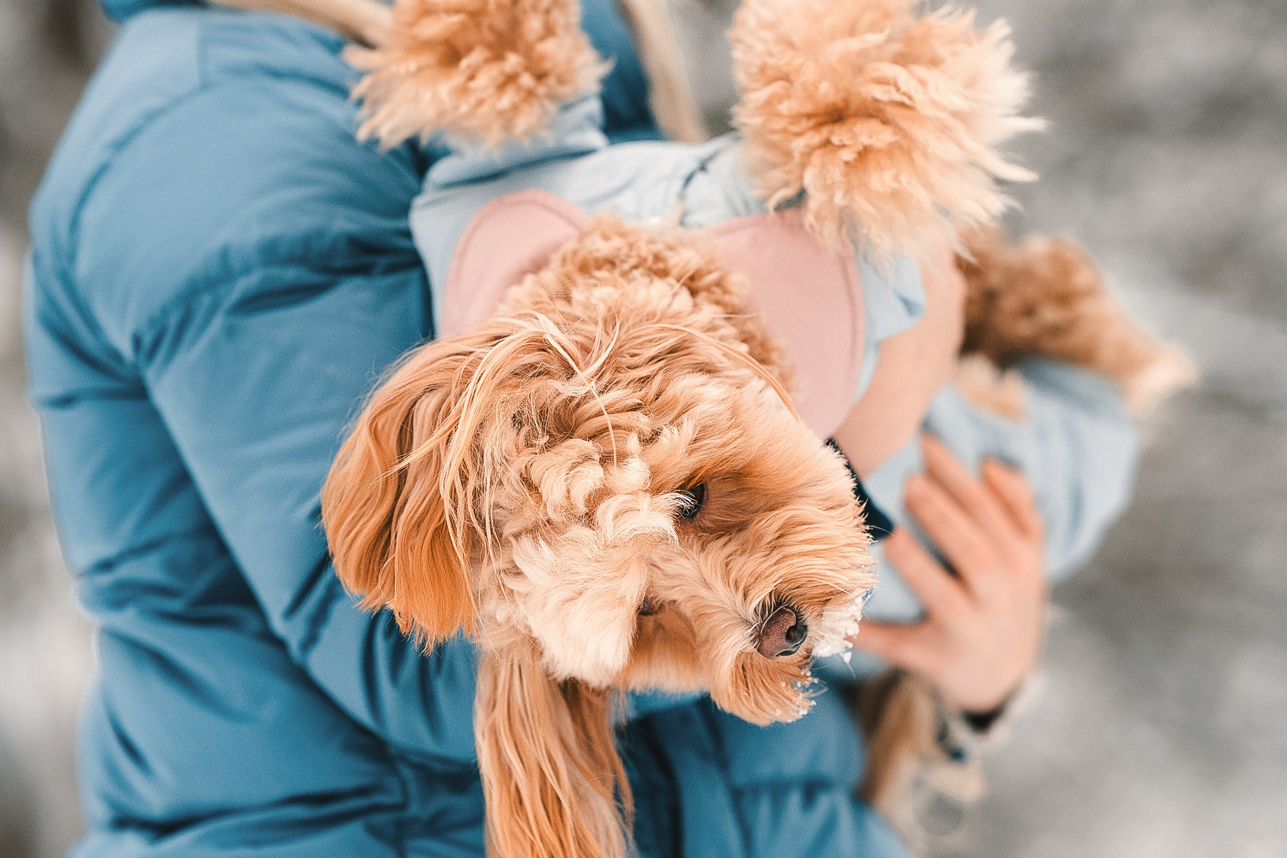 Марина и Чарли