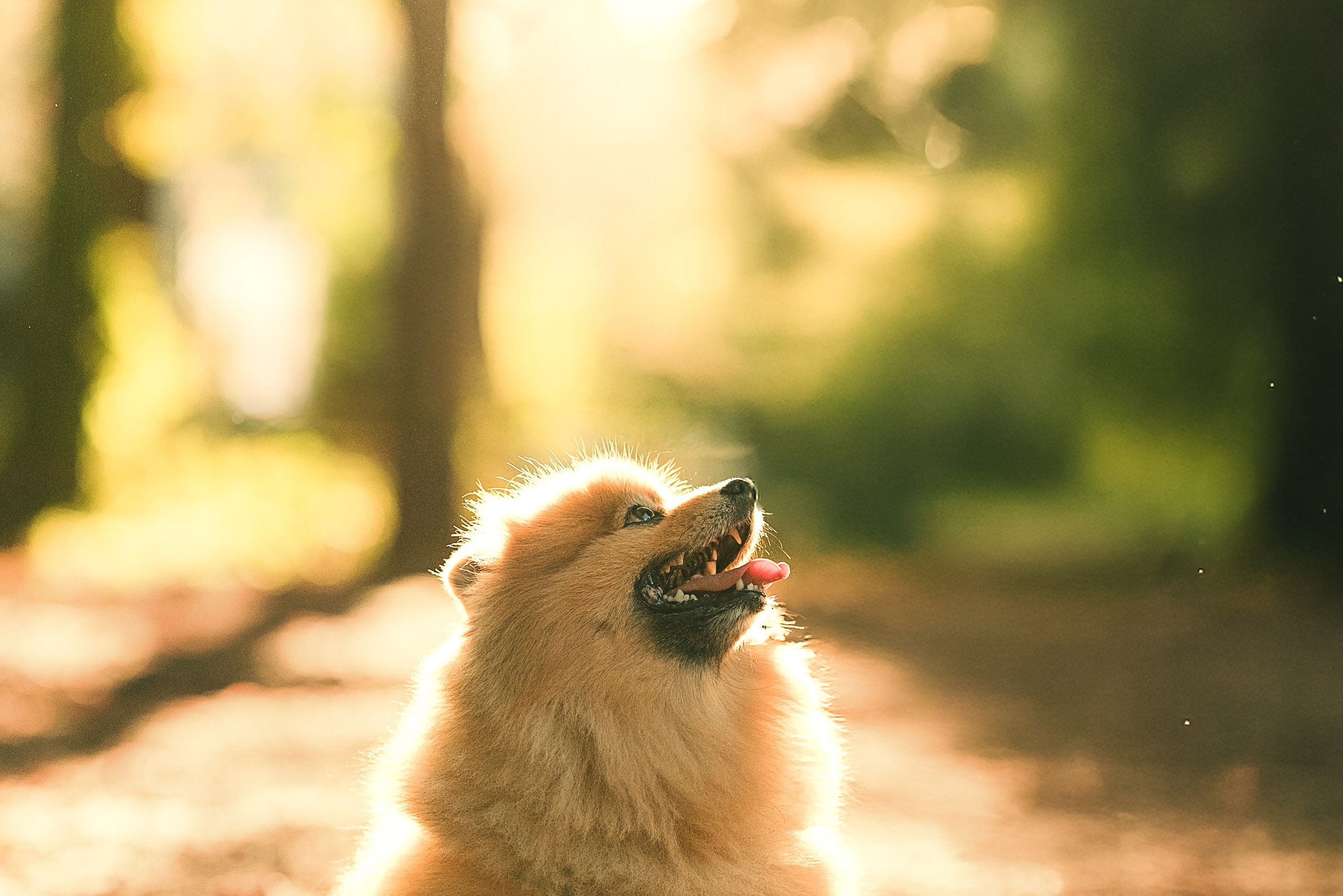 Красивые фотографии в Москве