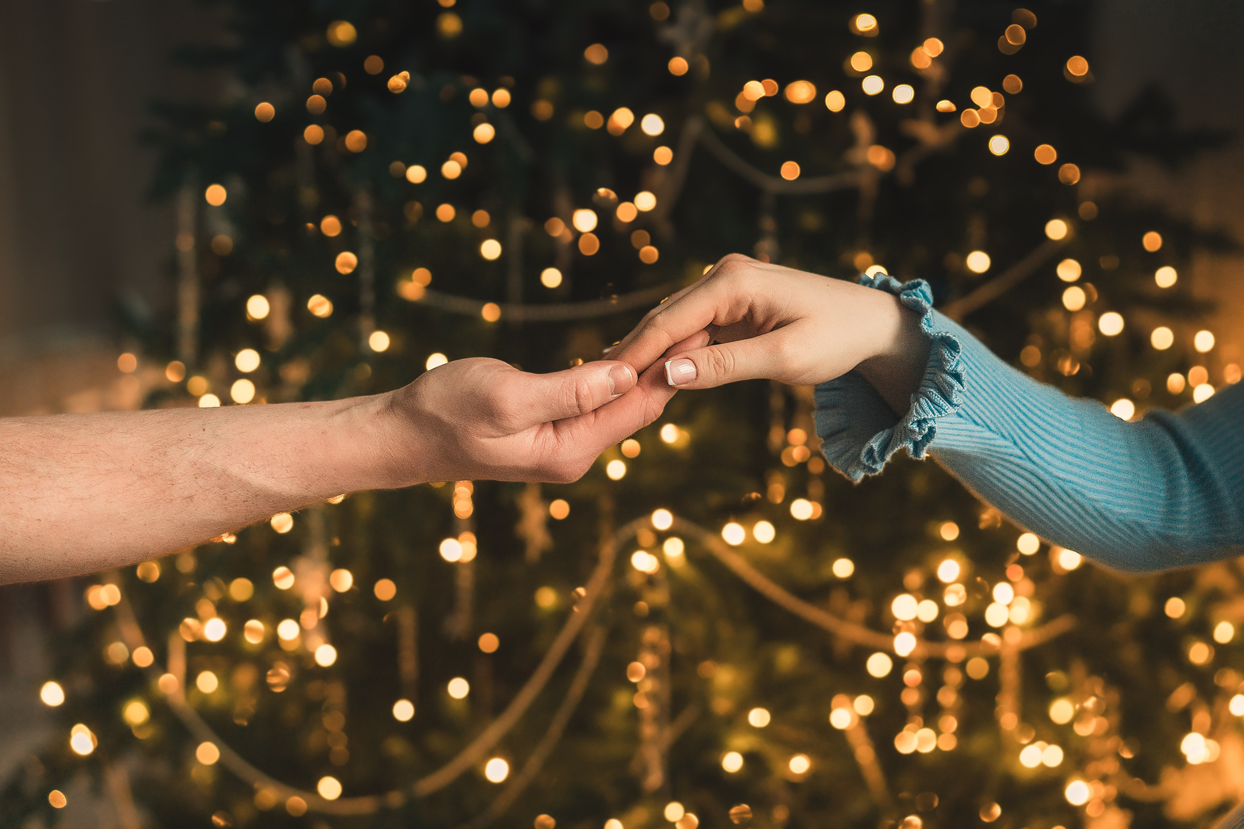 Лиза, Давид и два хвостатых облачка