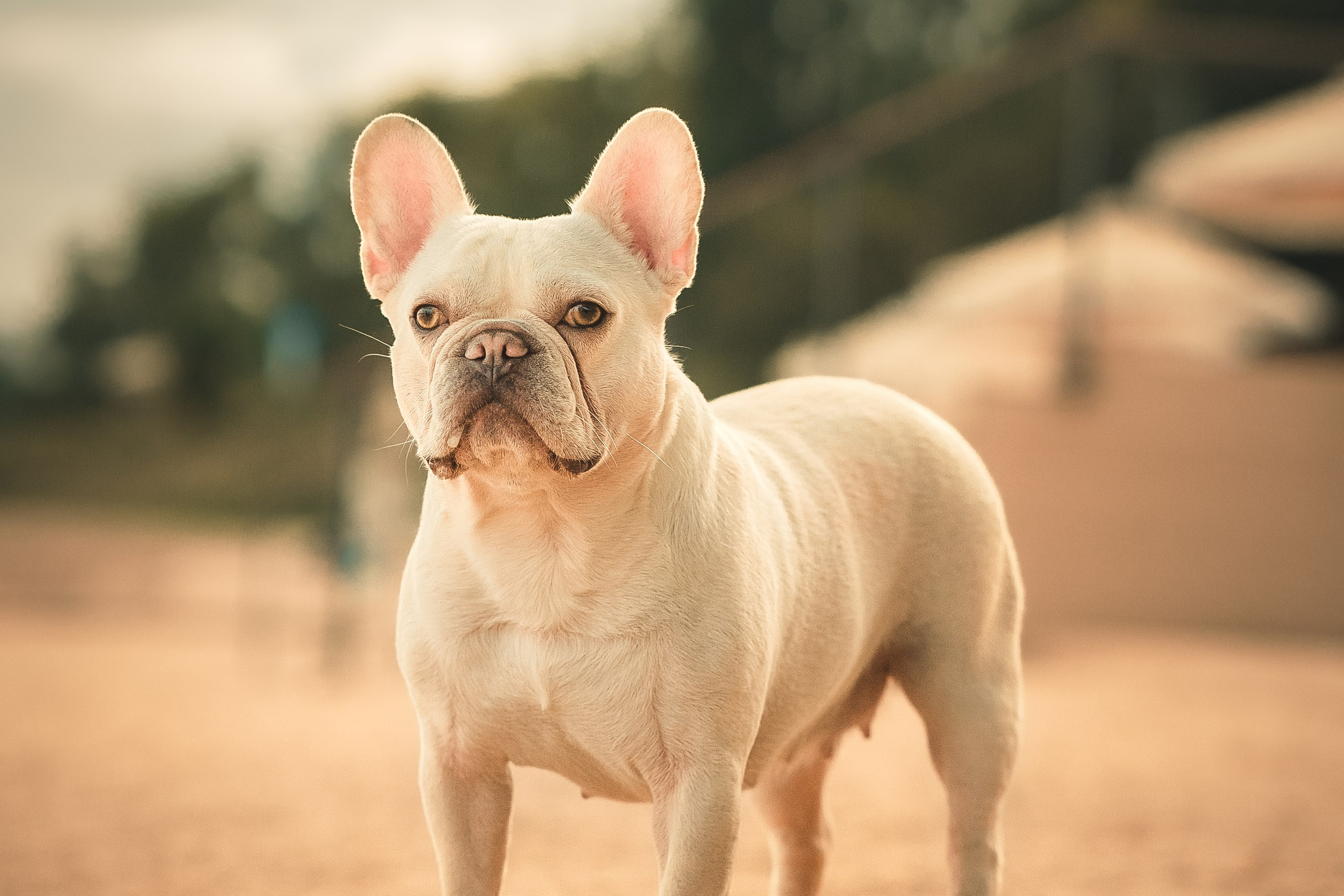 Светлана и Маруся