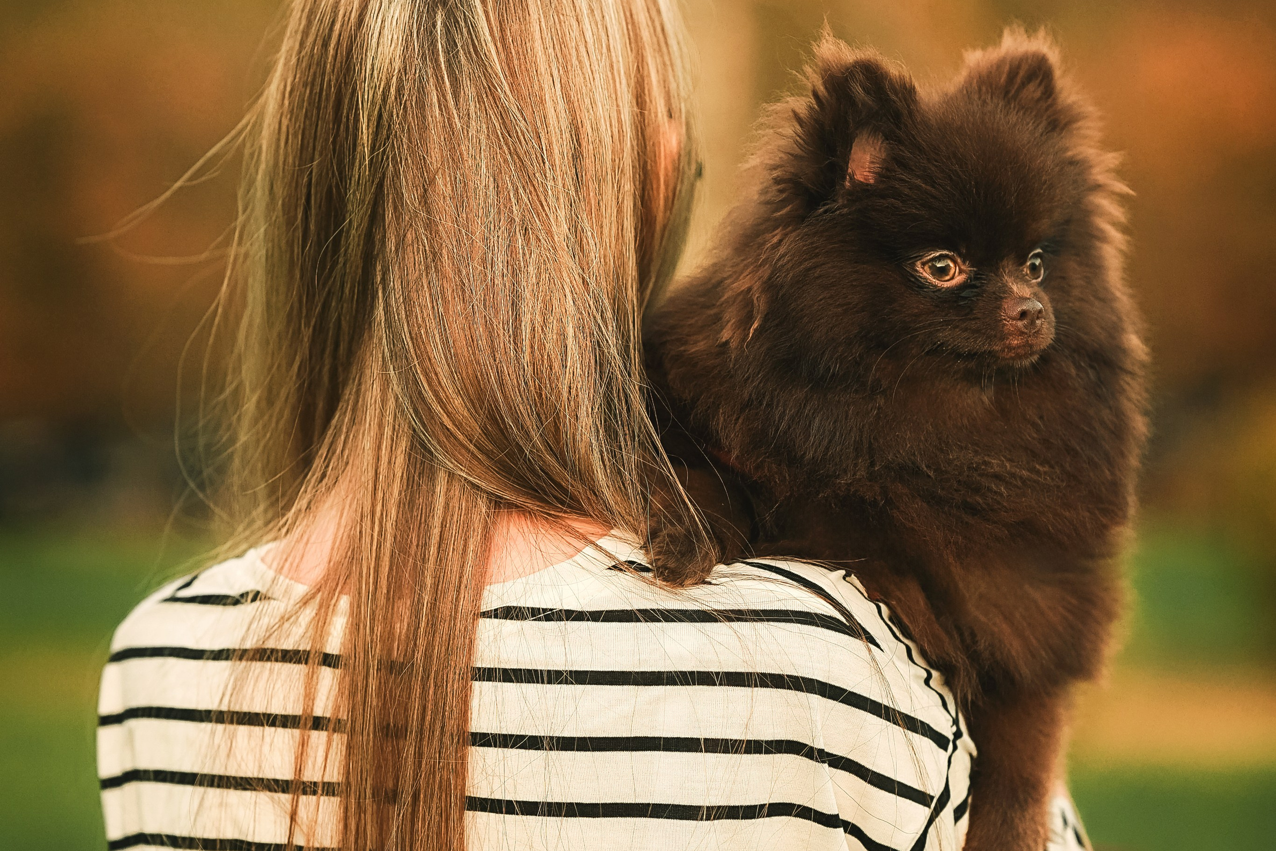 Людмила, Ника и шпицульки