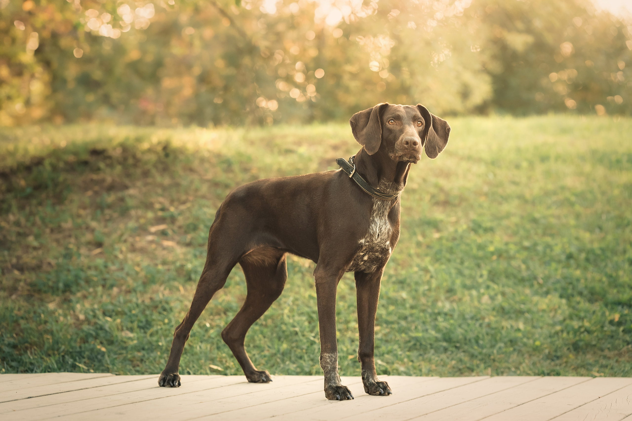 Наталья и Рица