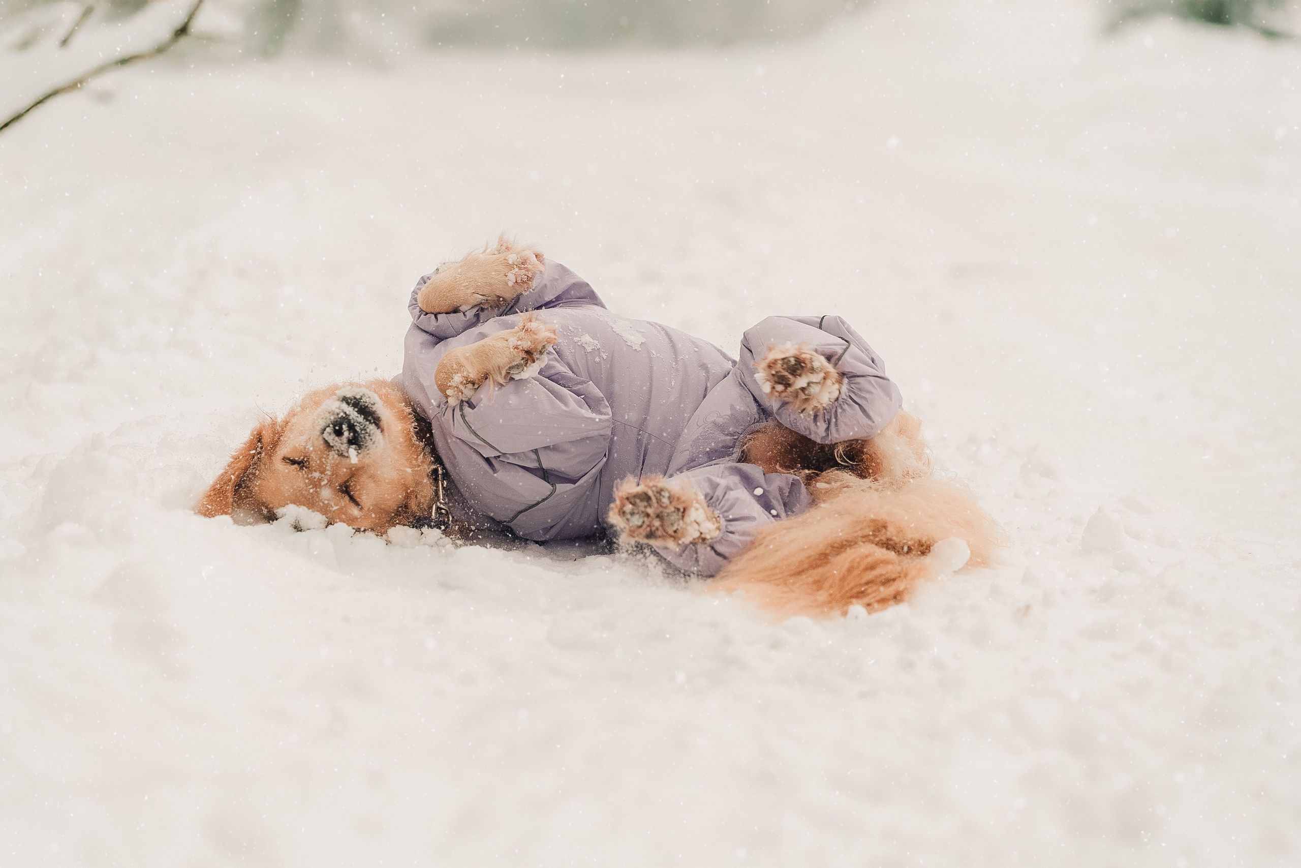 Анна и Сонечка