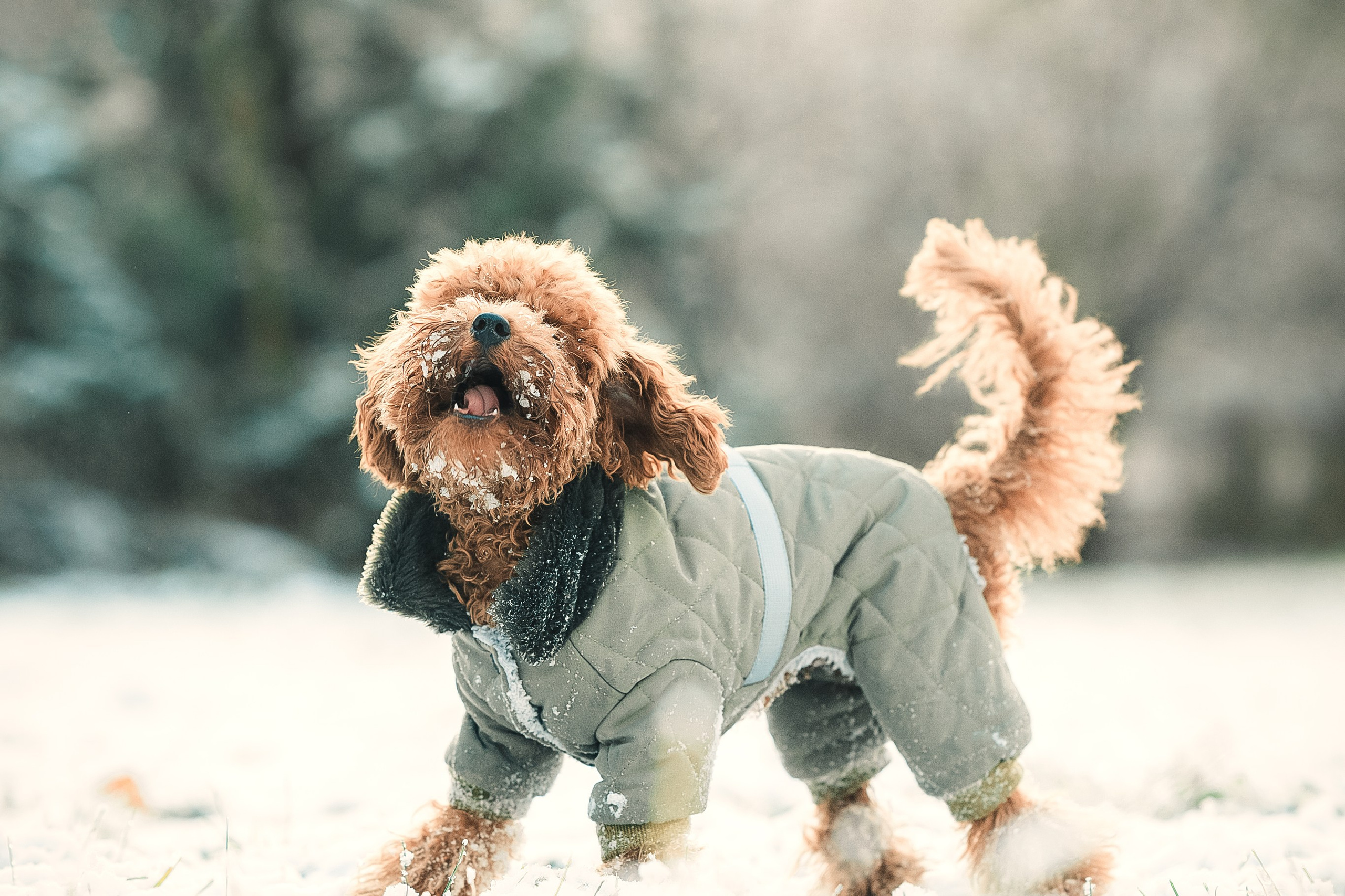 Наталья и Руби