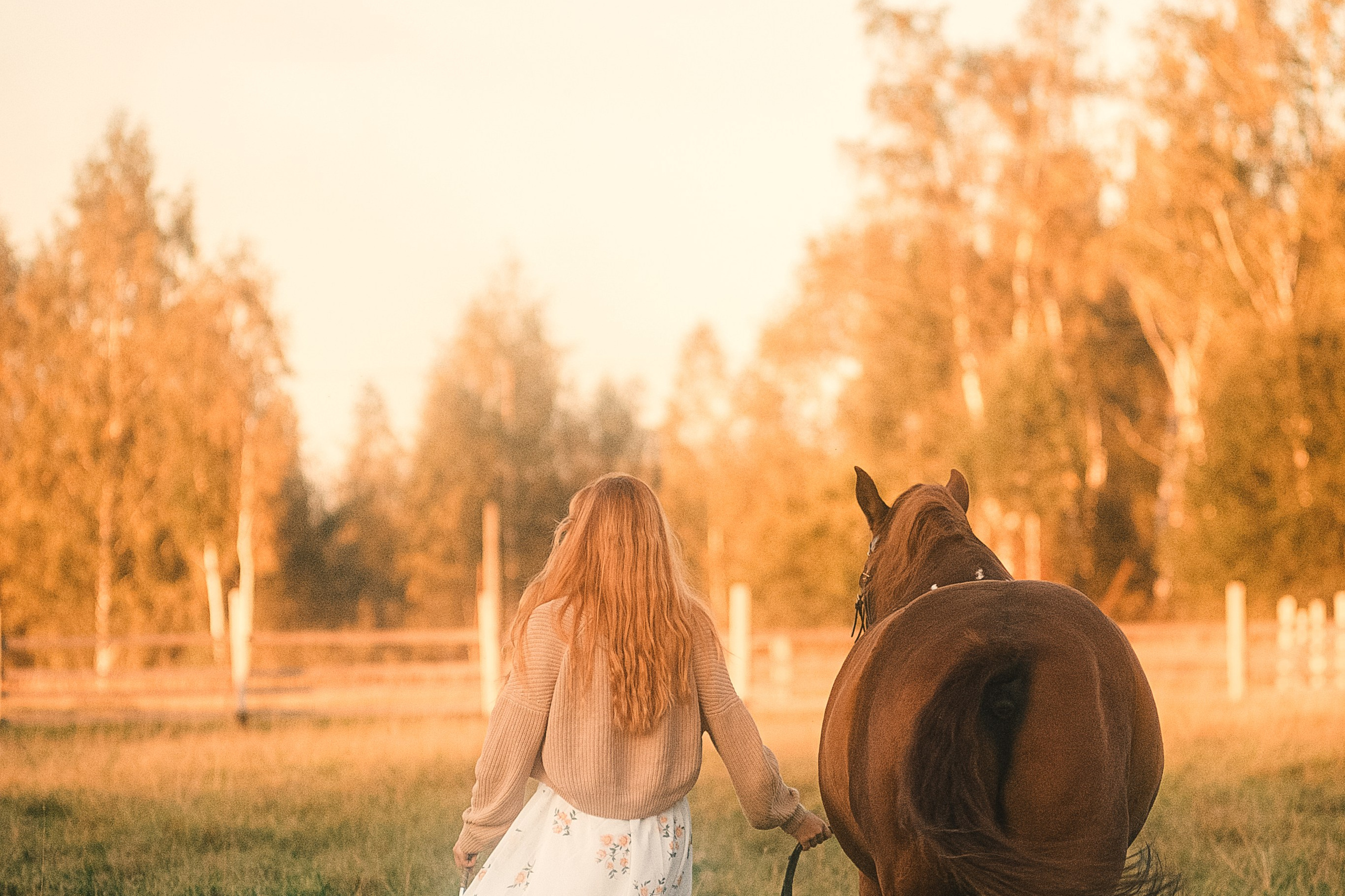 Фотосессия с лошадью Москва